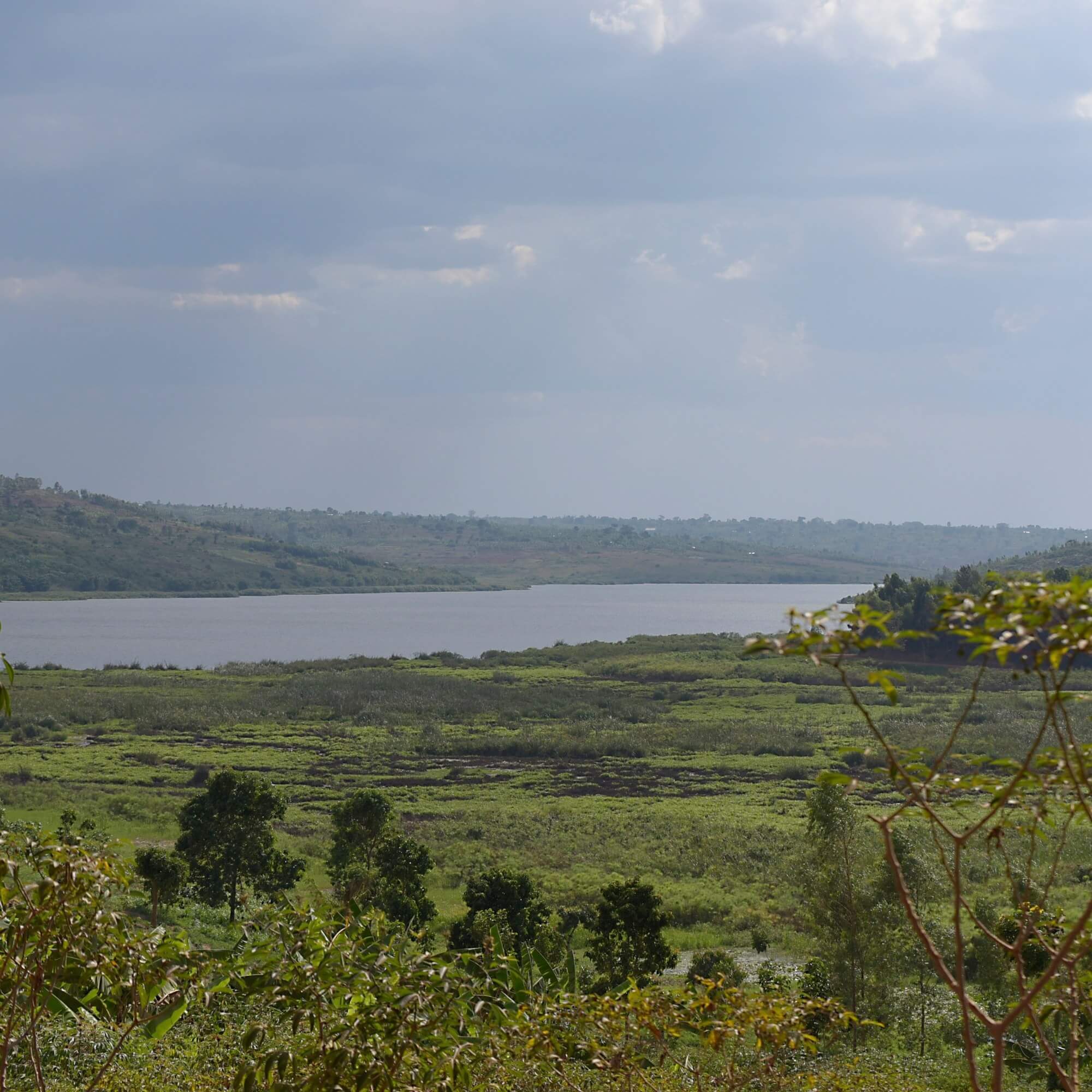 Map of Great Lakes and East Africa coffee regions including Rwanda, Burundi, Tanzania, and Uganda