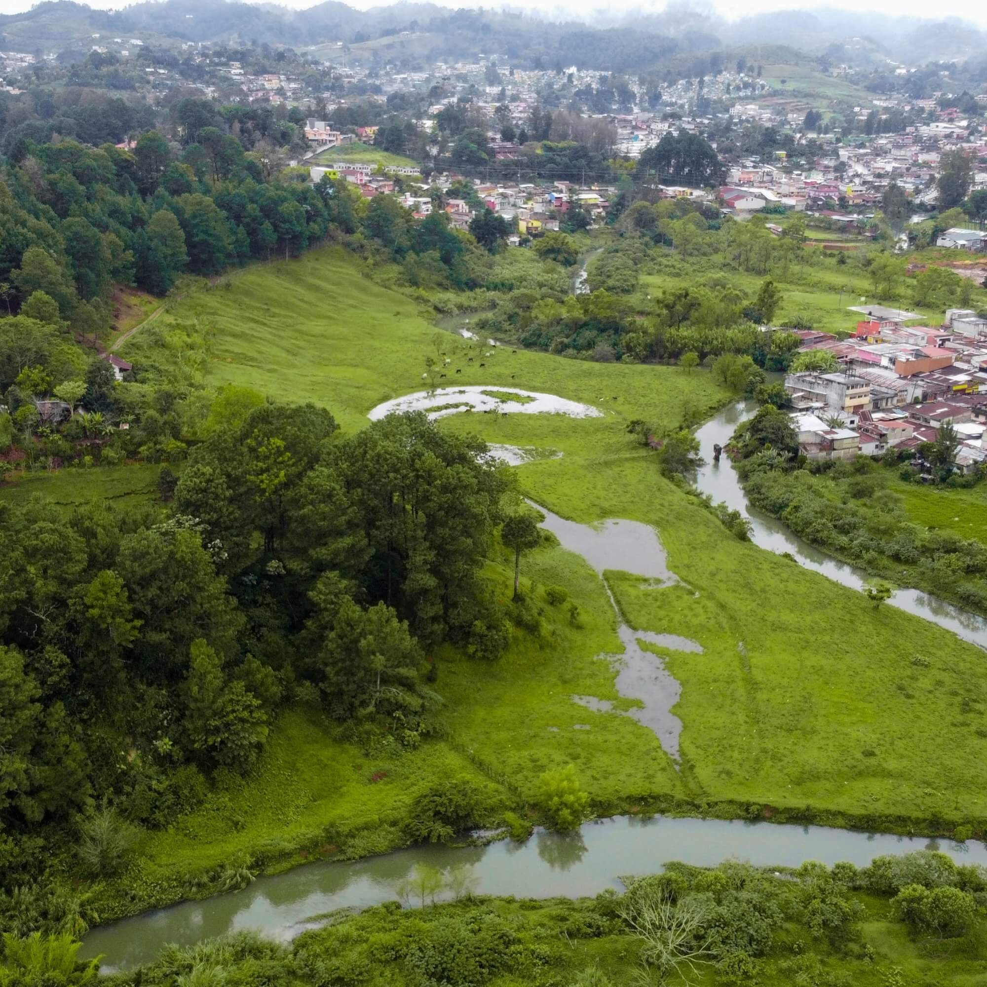 Guatemalan coffee producer standing in their farm