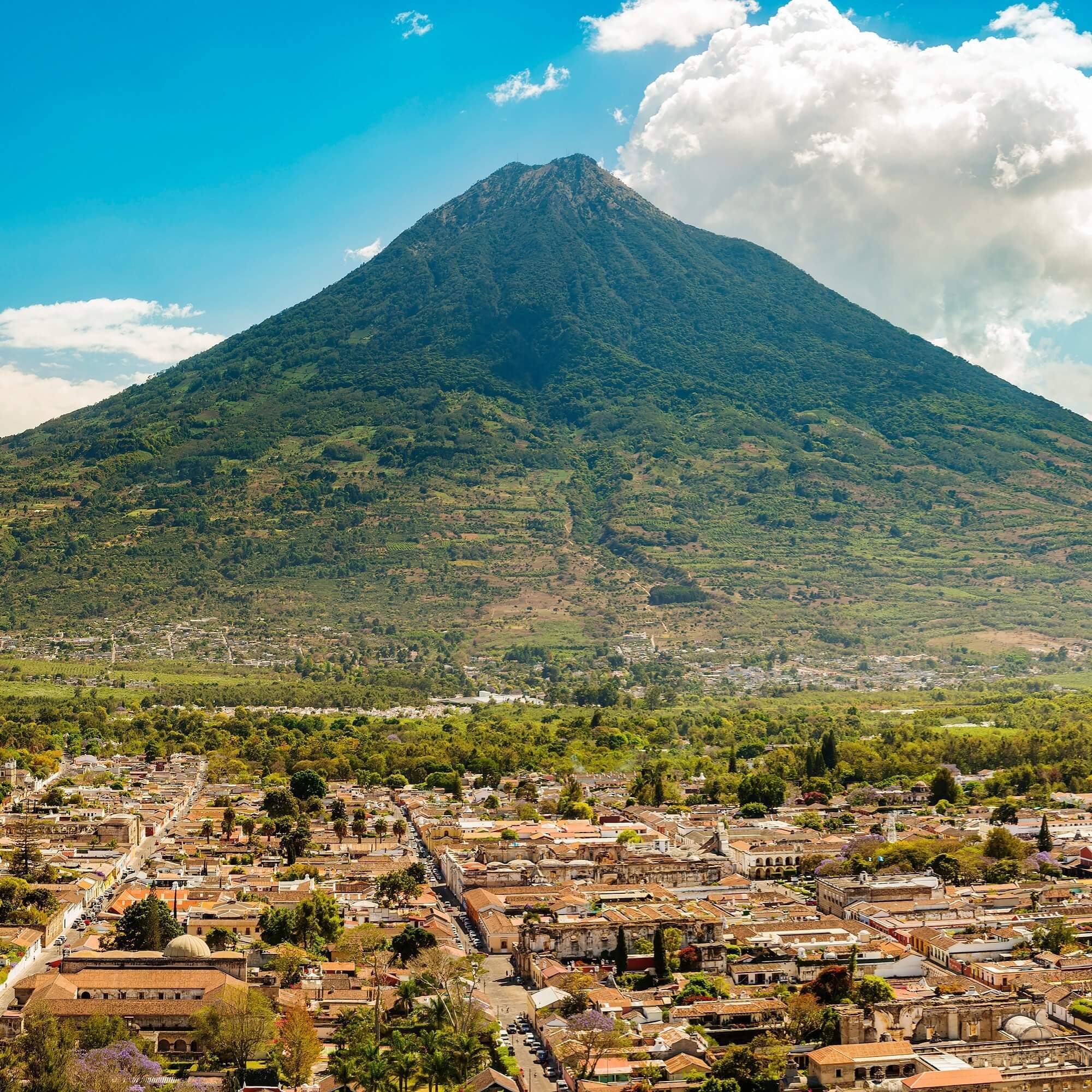 Guatemalan coffee farm on steep volcanic hillside