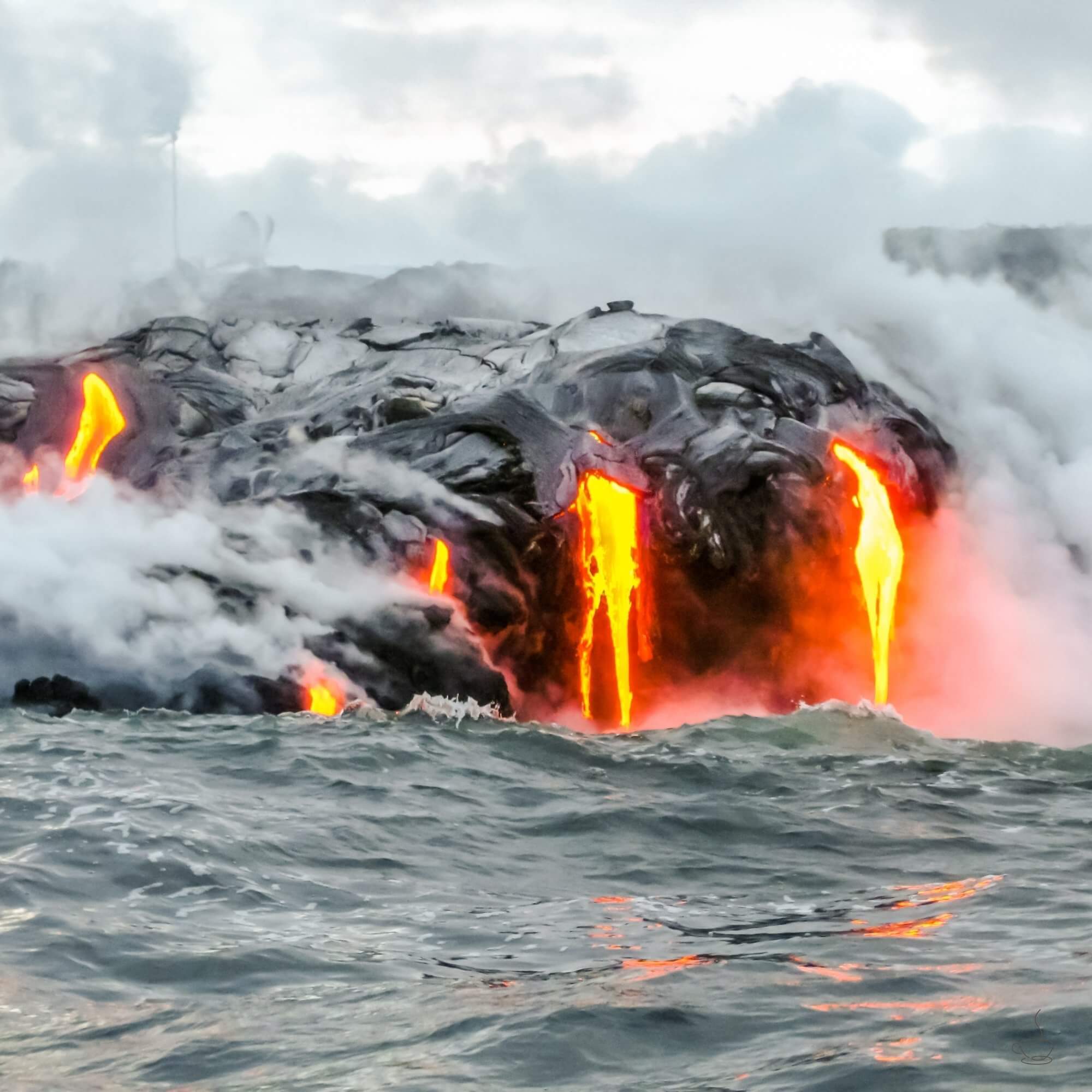 Dark volcanic soil and coffee trees