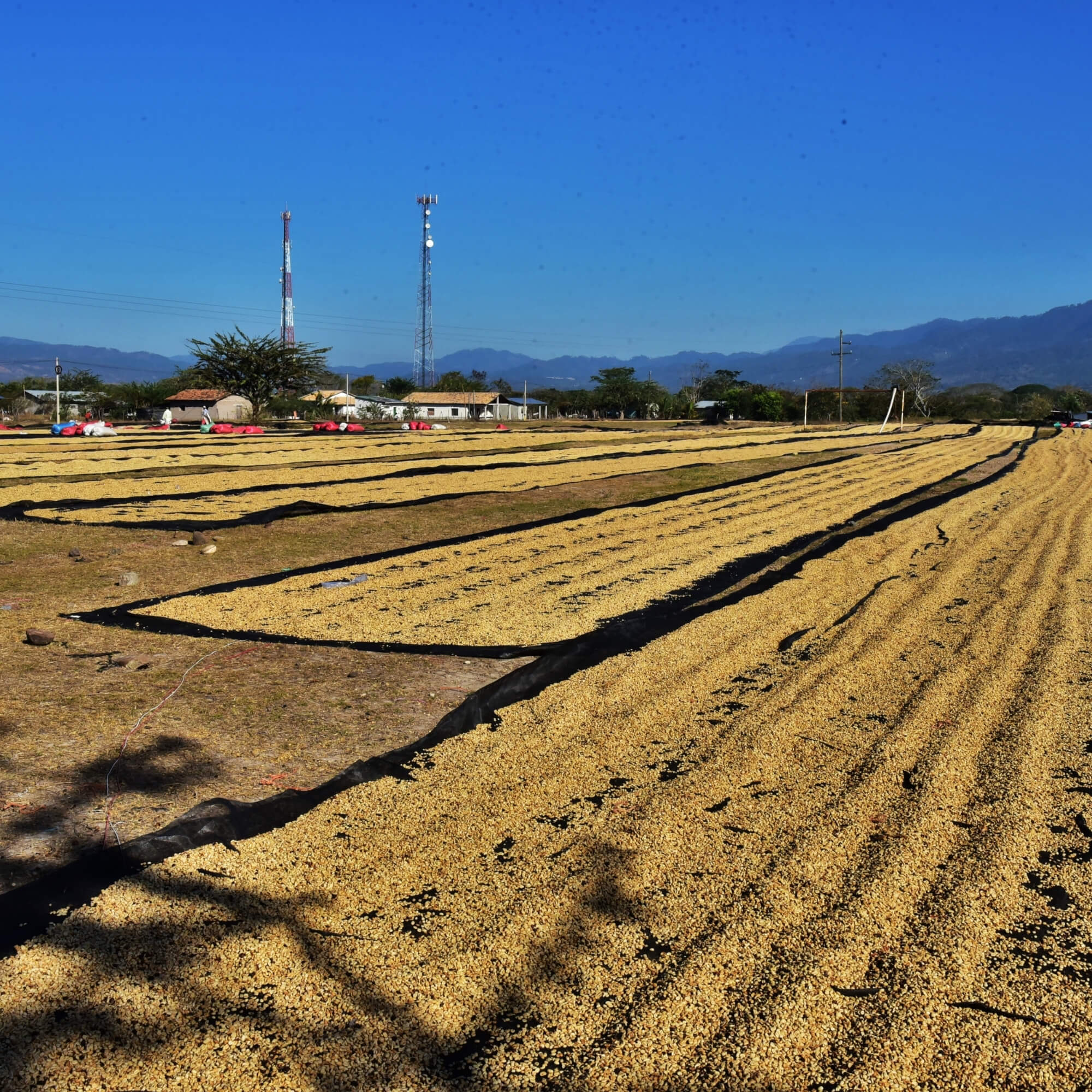 Honduran town street with daily life