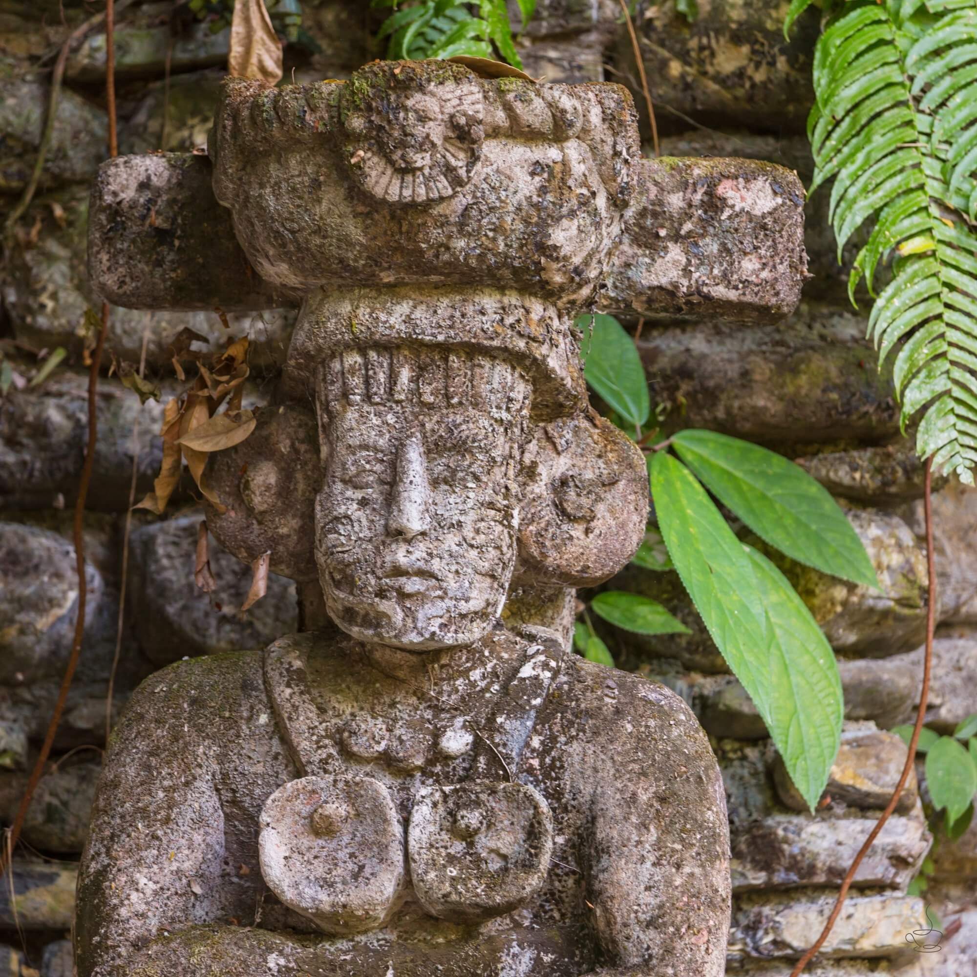 Coffee farm and hillsides in Honduras