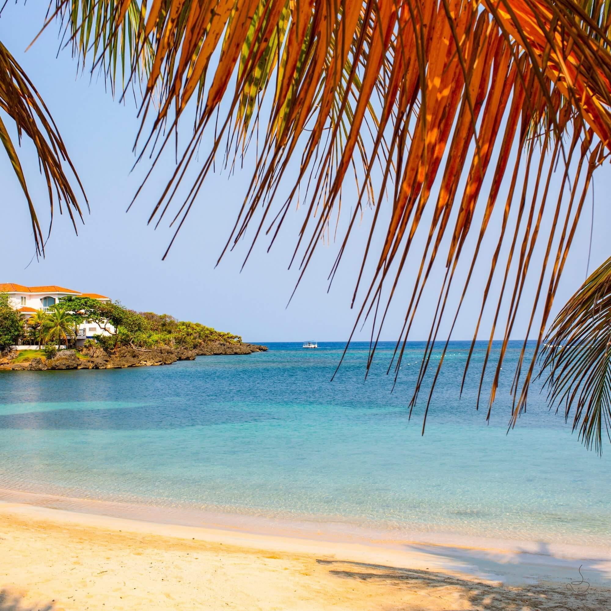 Raised beds with coffee drying in Honduras