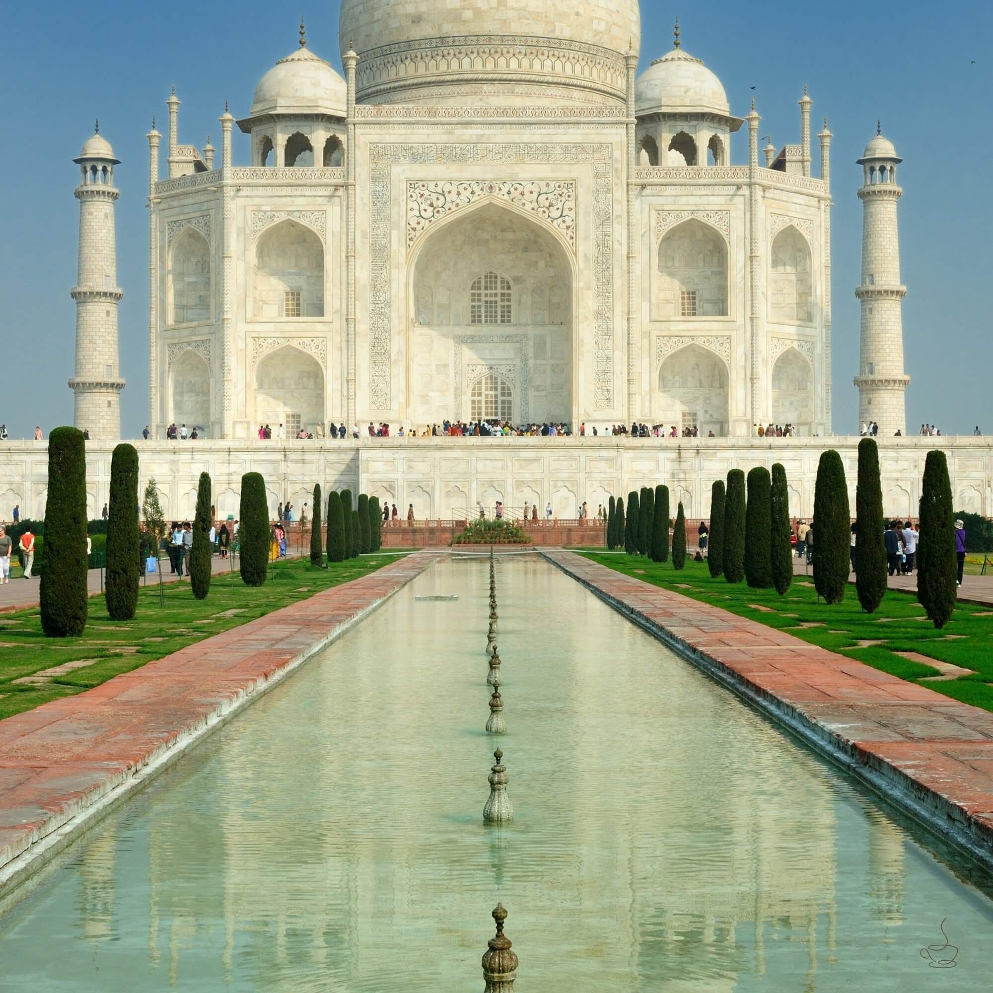 Shaded Indian coffee estate in the hills with trees and coffee plants