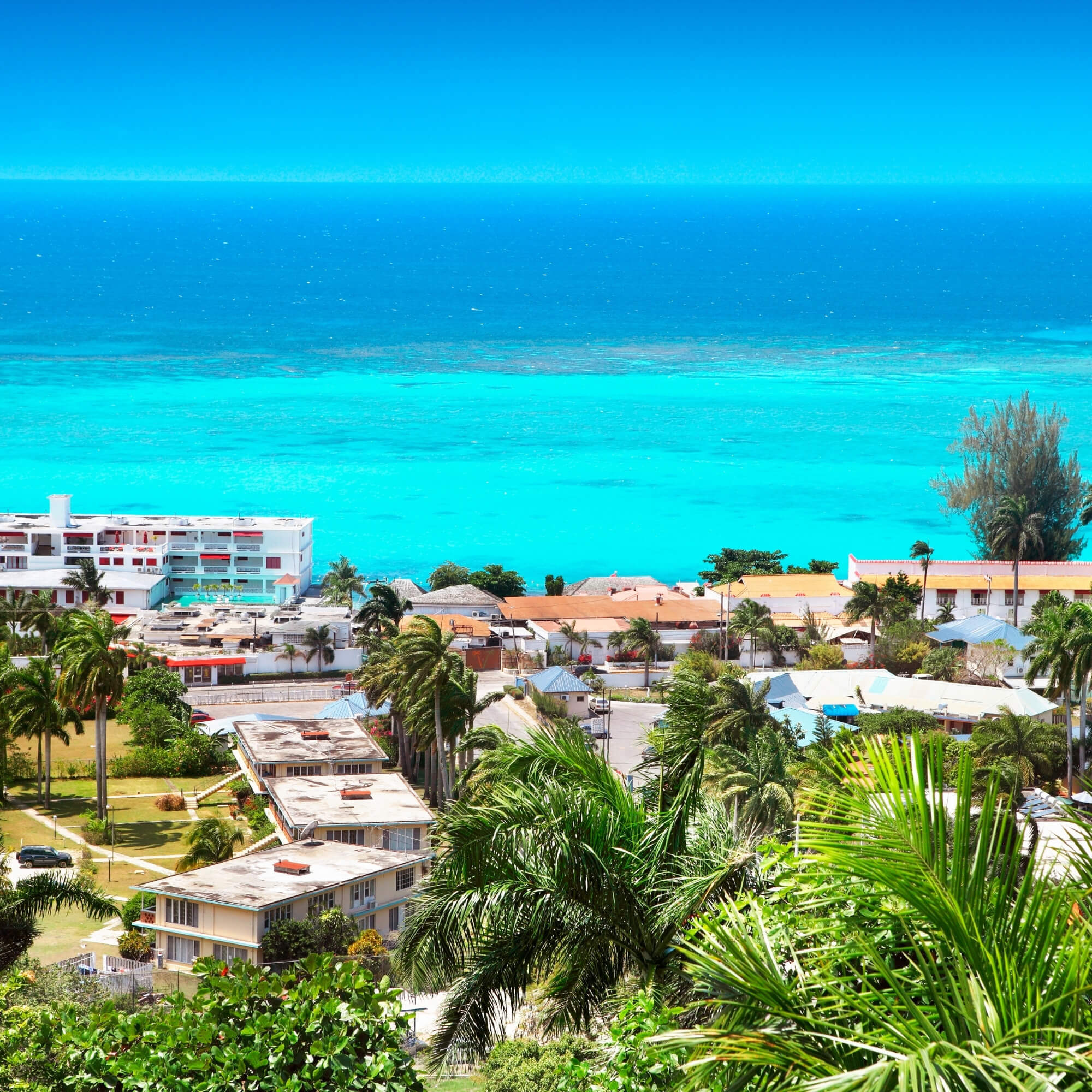 Cupping table evaluating Jamaica coffee