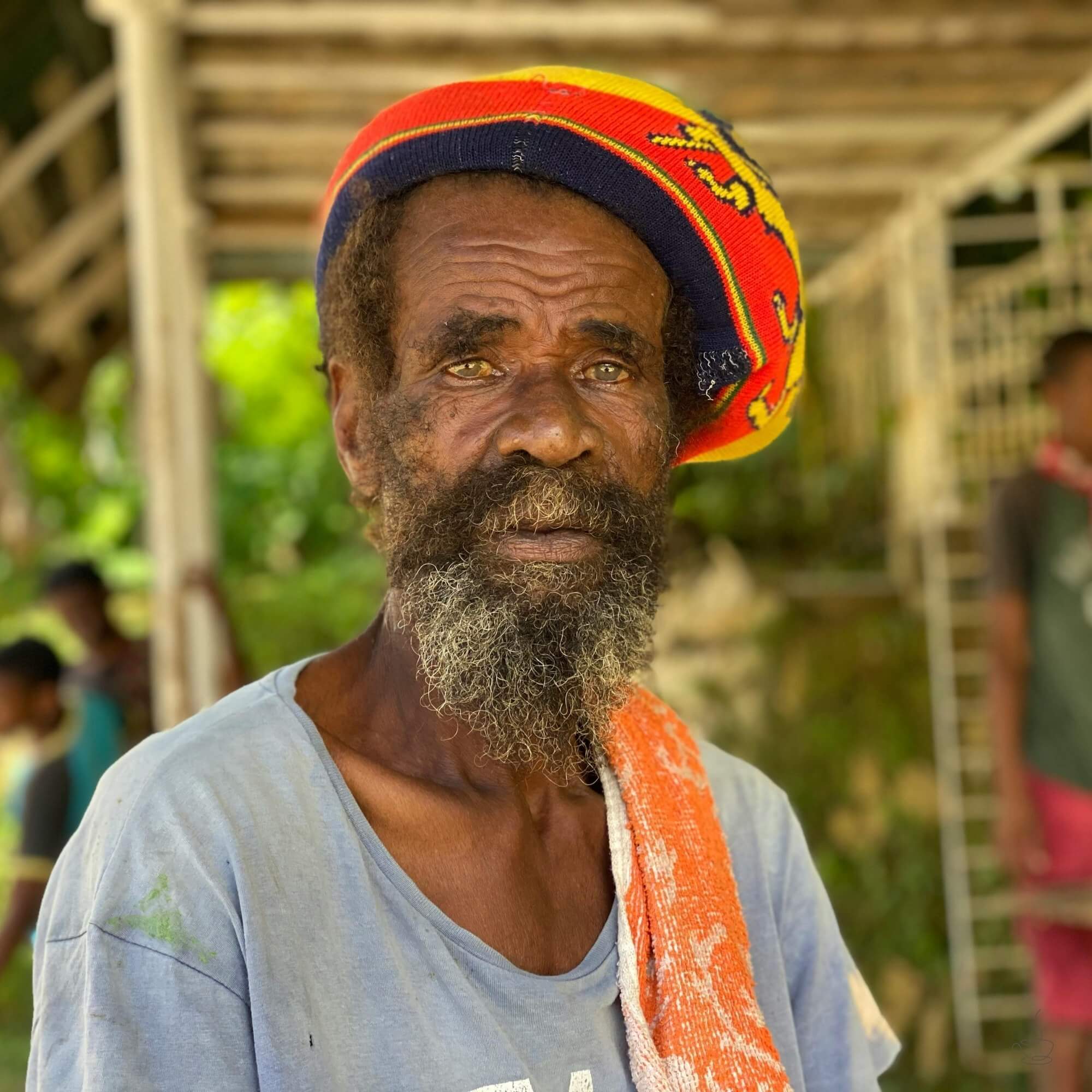 Steep coffee slopes in Jamaica Blue Mountain region