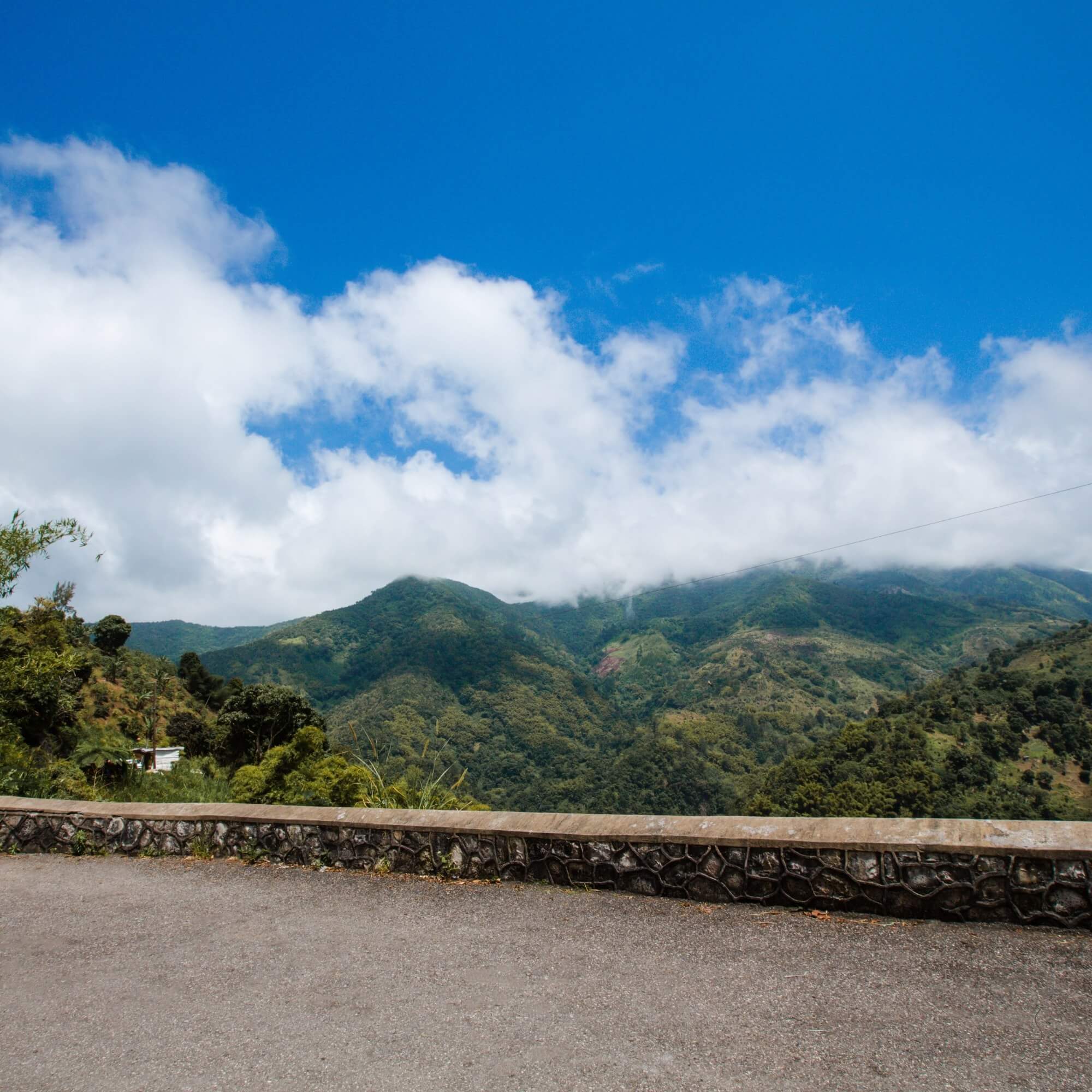 Road winding through Jamaica Blue Mountain slopes
