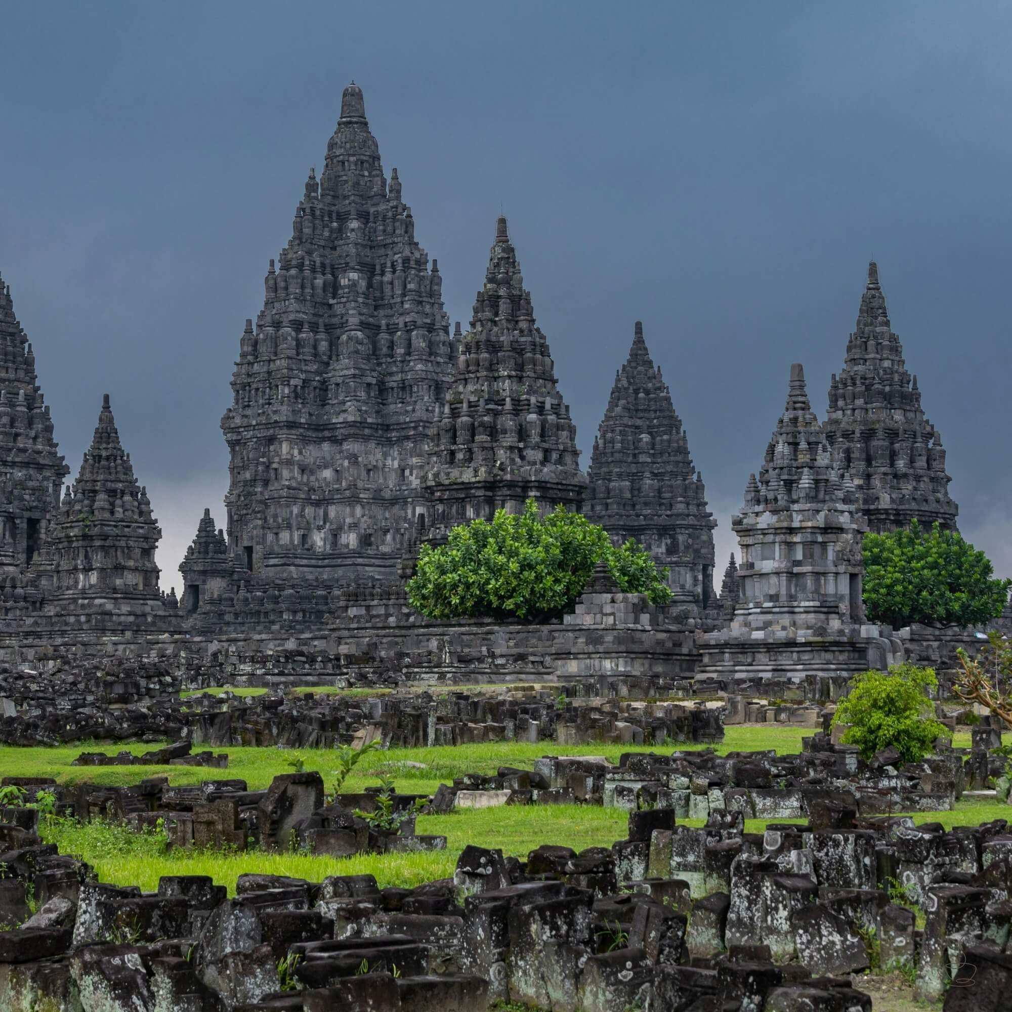 Java coffee estates on volcanic slopes with morning light