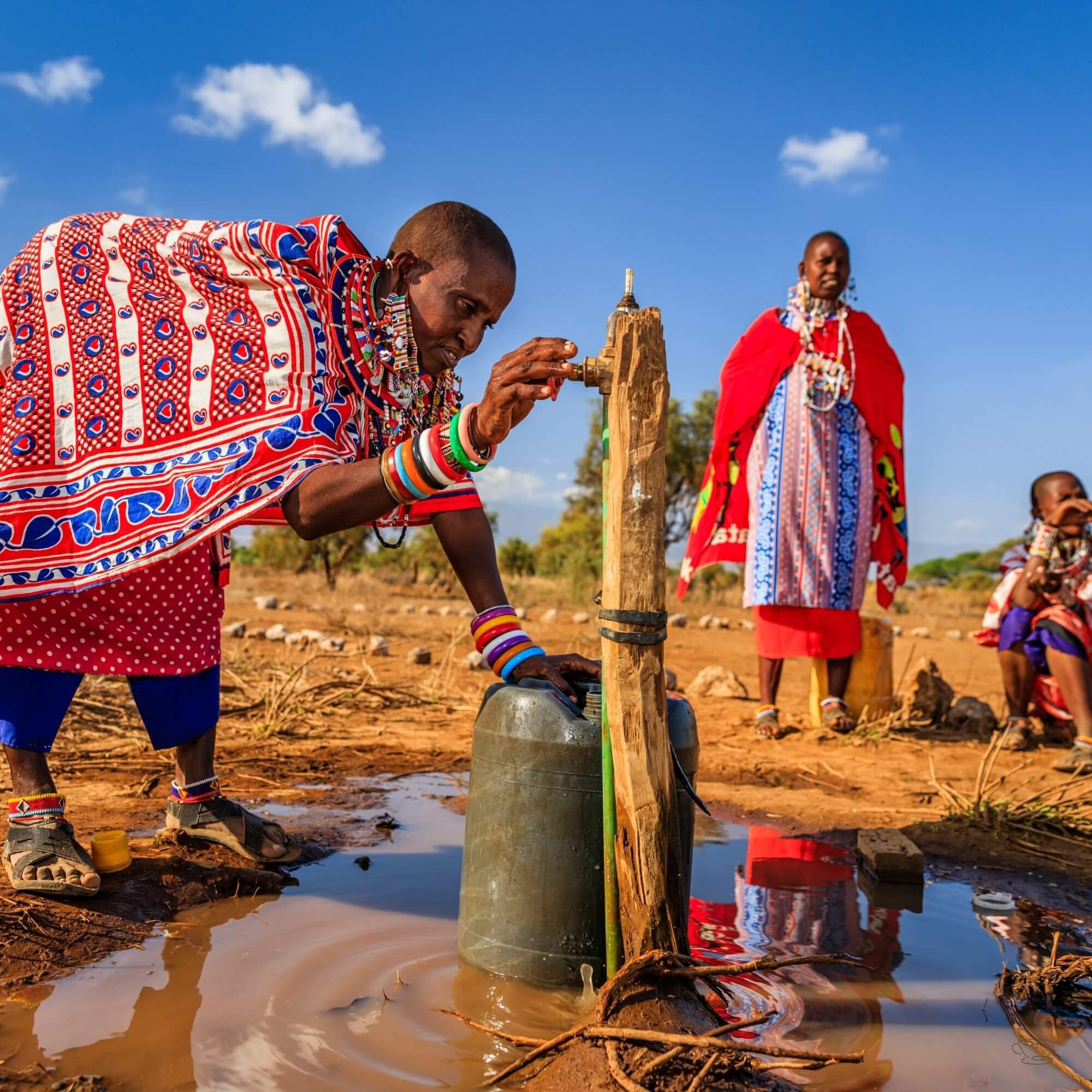 Parchment coffee drying on raised beds in Kenya