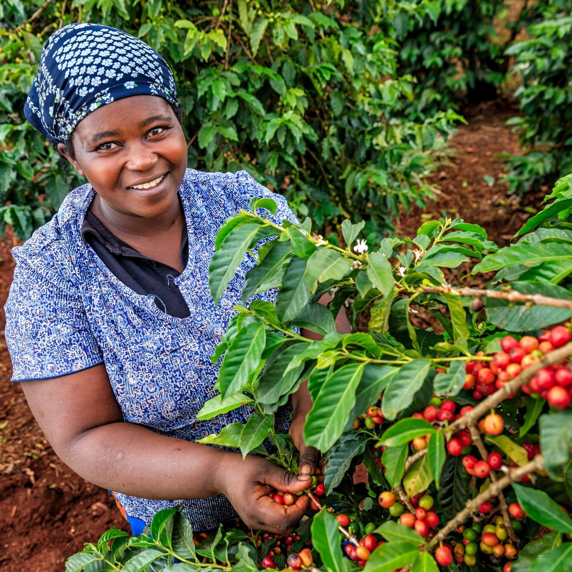 Nairobi or Kenyan town street with cafes and people