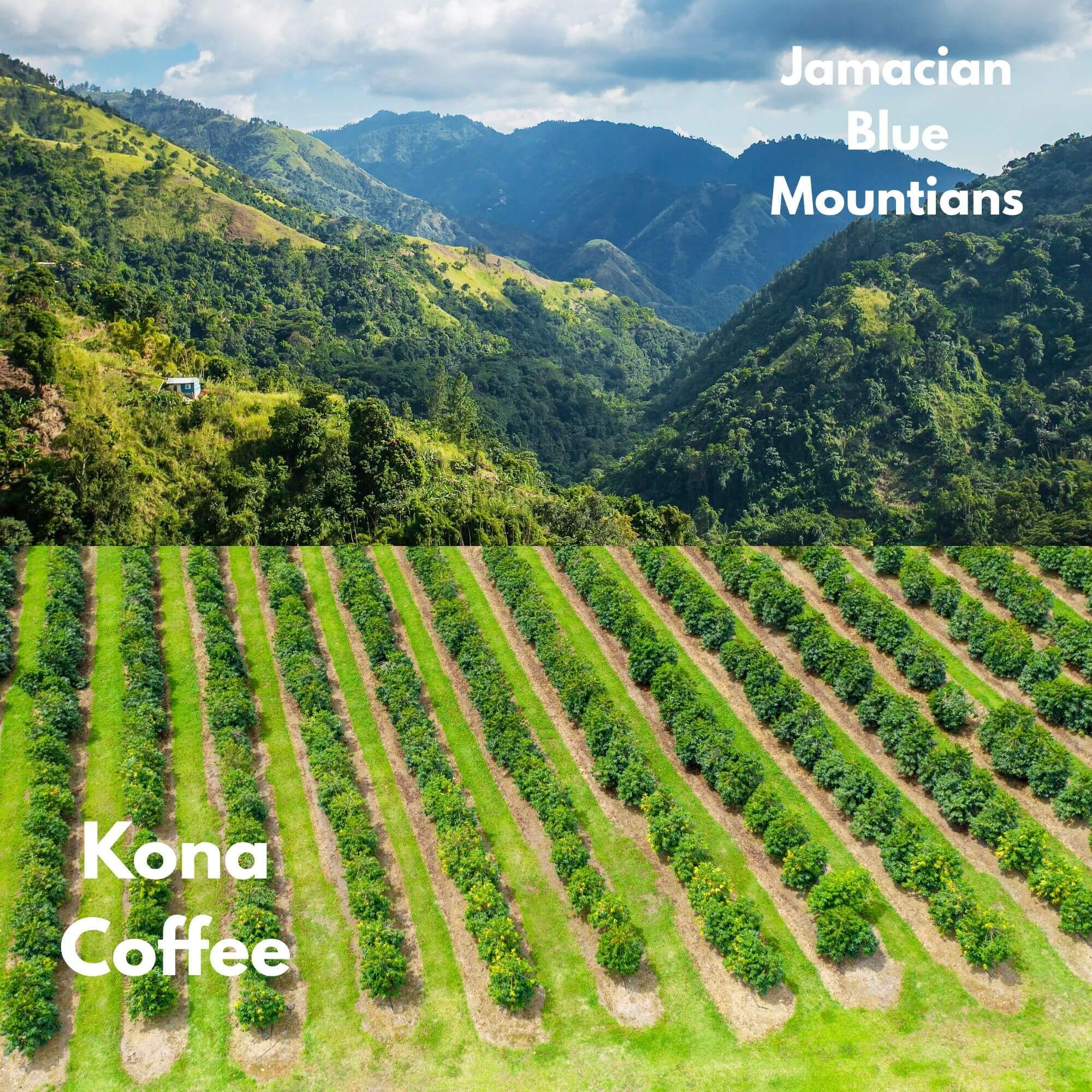 Blue Mountains and Hawaii coastline