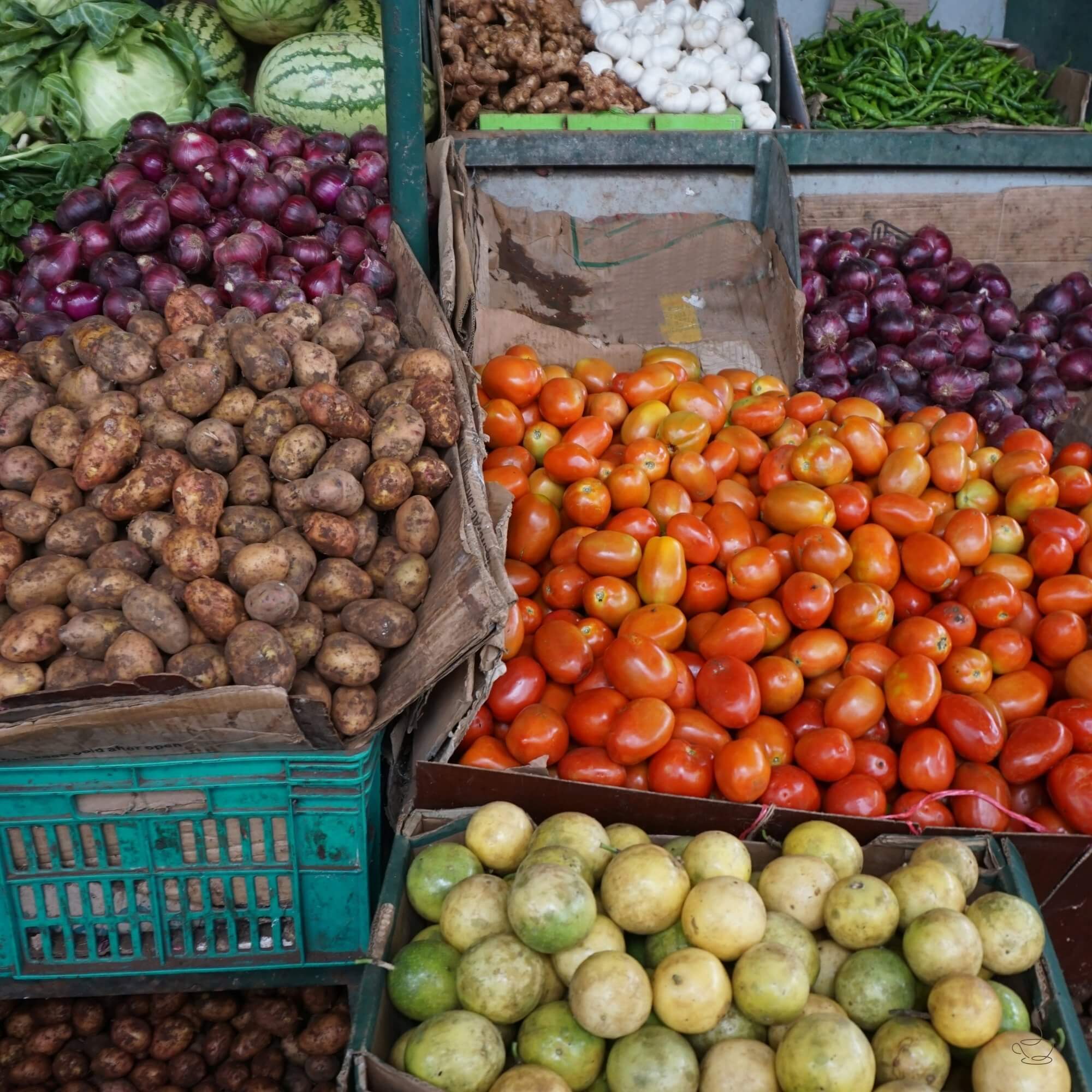 Bags of Kenyan coffee at a warehouse or auction
