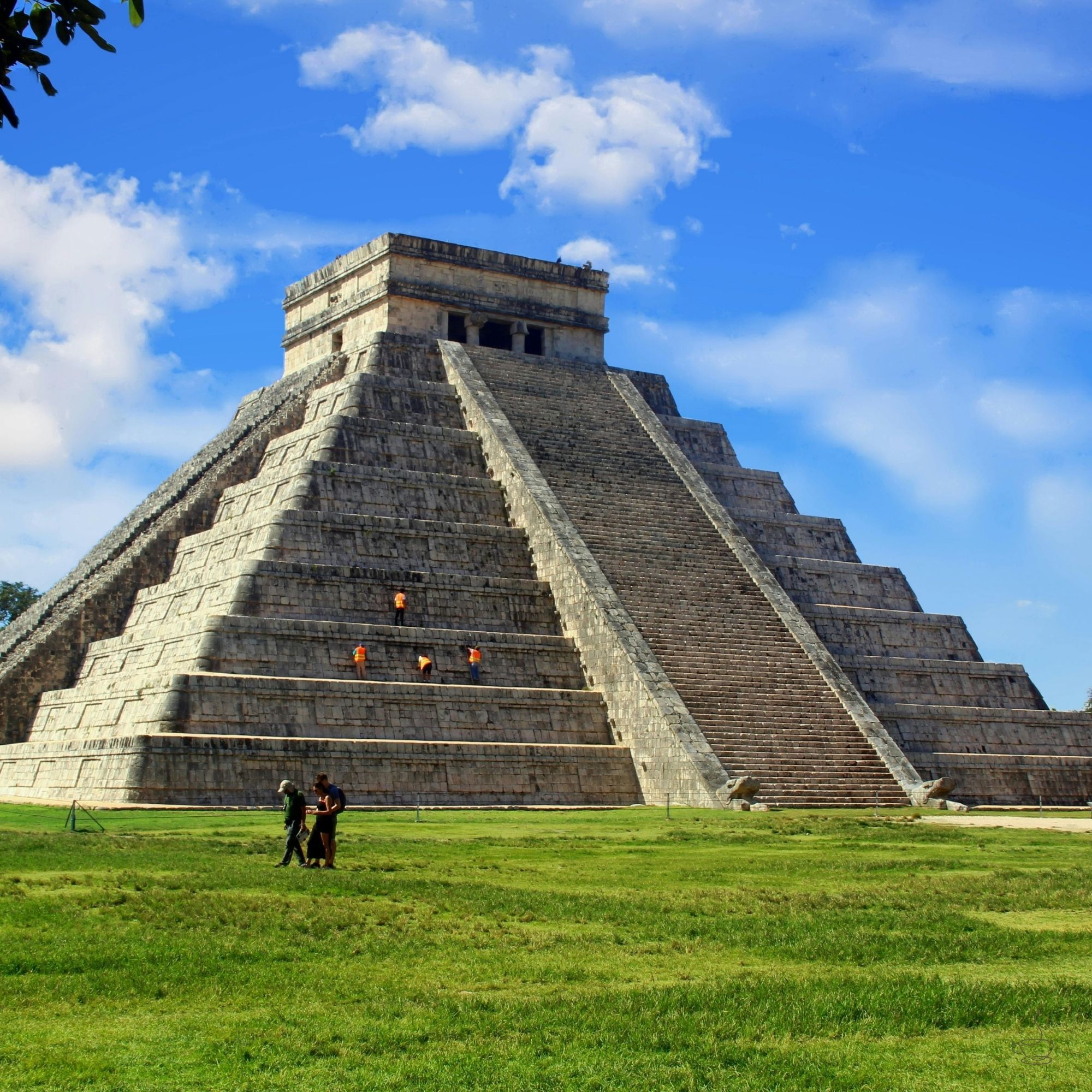 Mexico coffee mountains