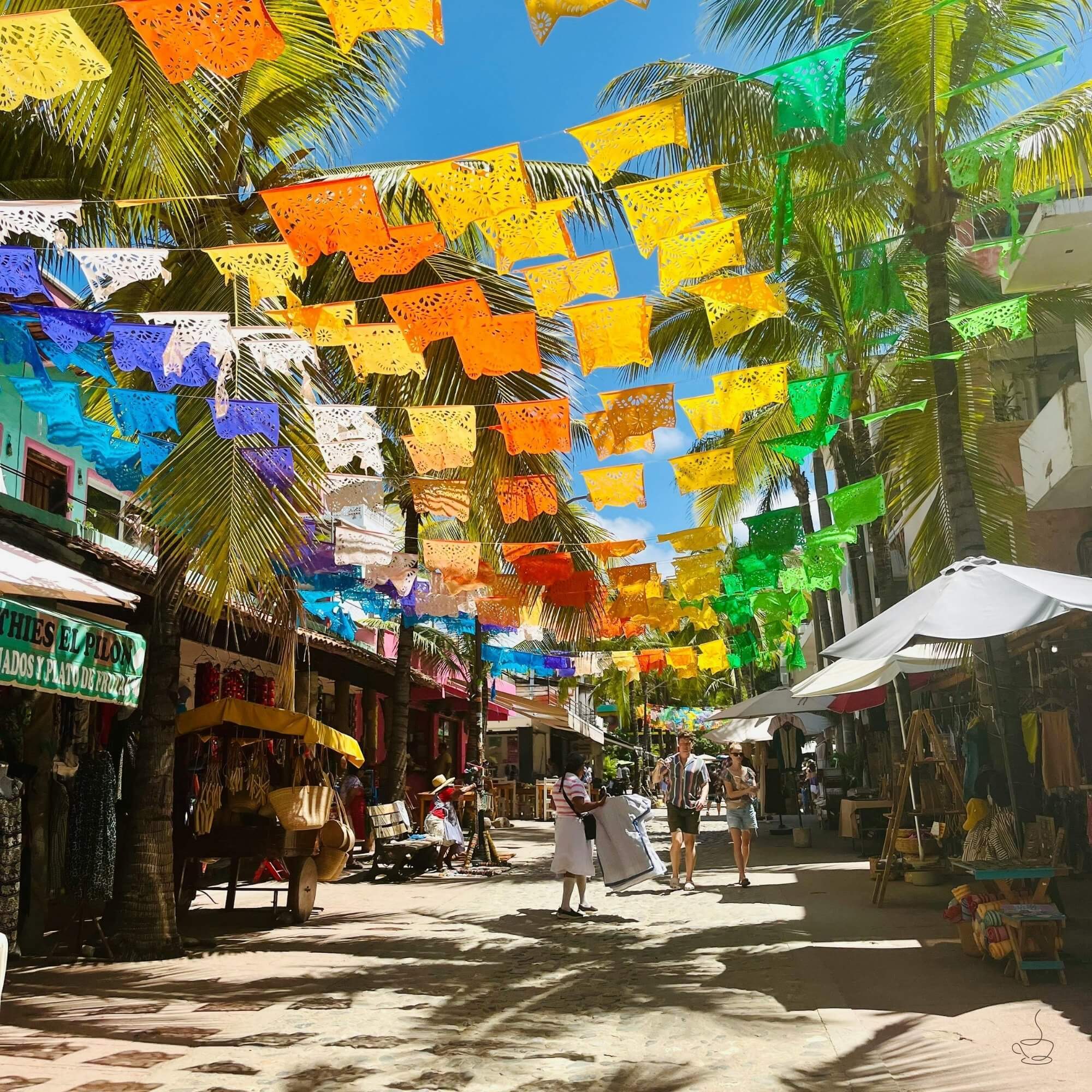 Rows of coffee trees under shade in Mexico