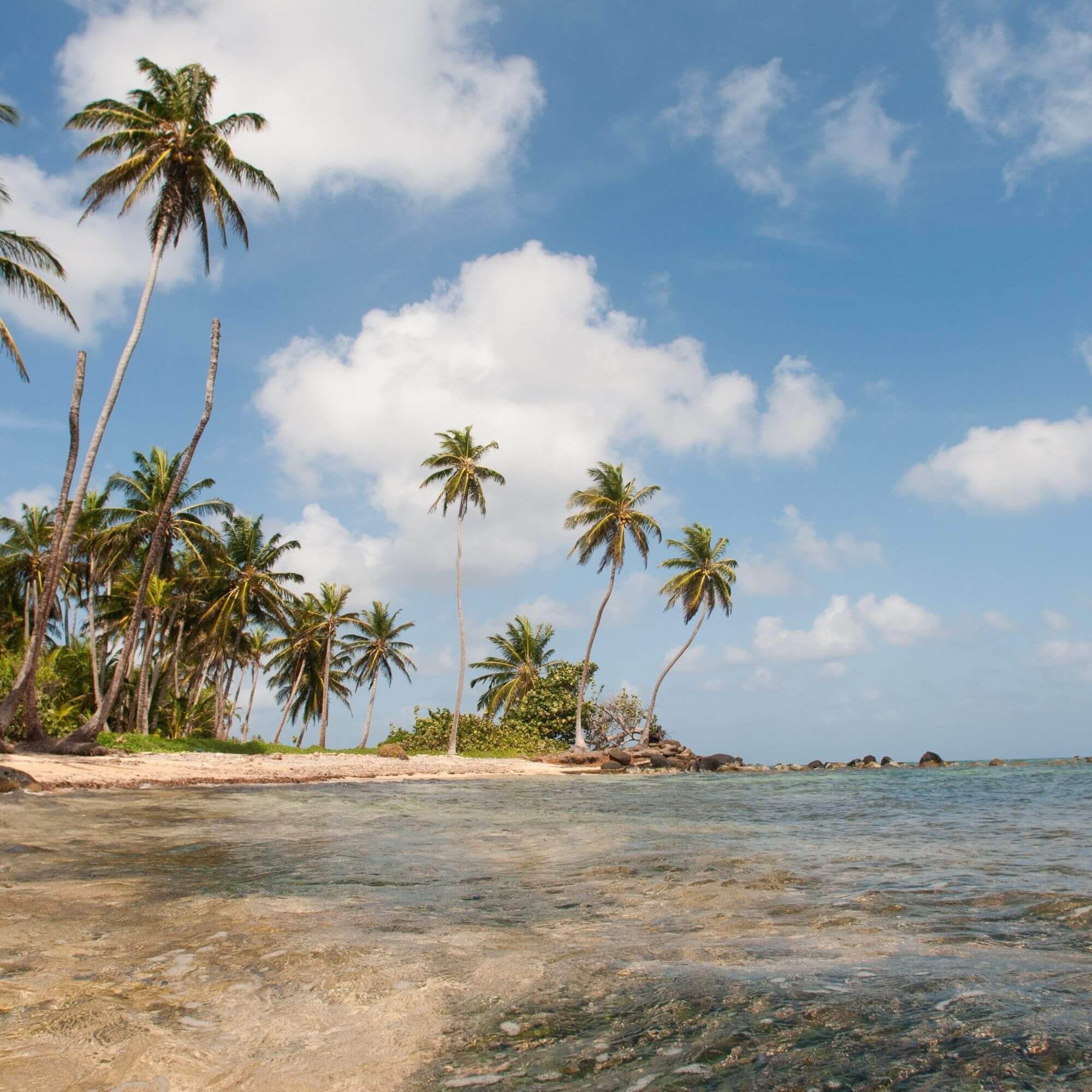 Cupping table evaluating Nicaraguan coffees