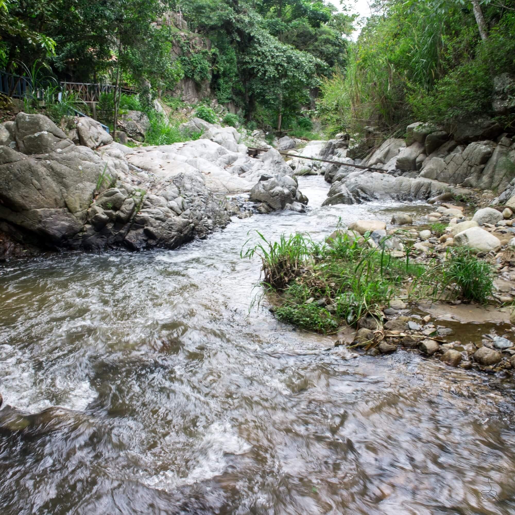 Mountainous coffee region in Nueva Segovia