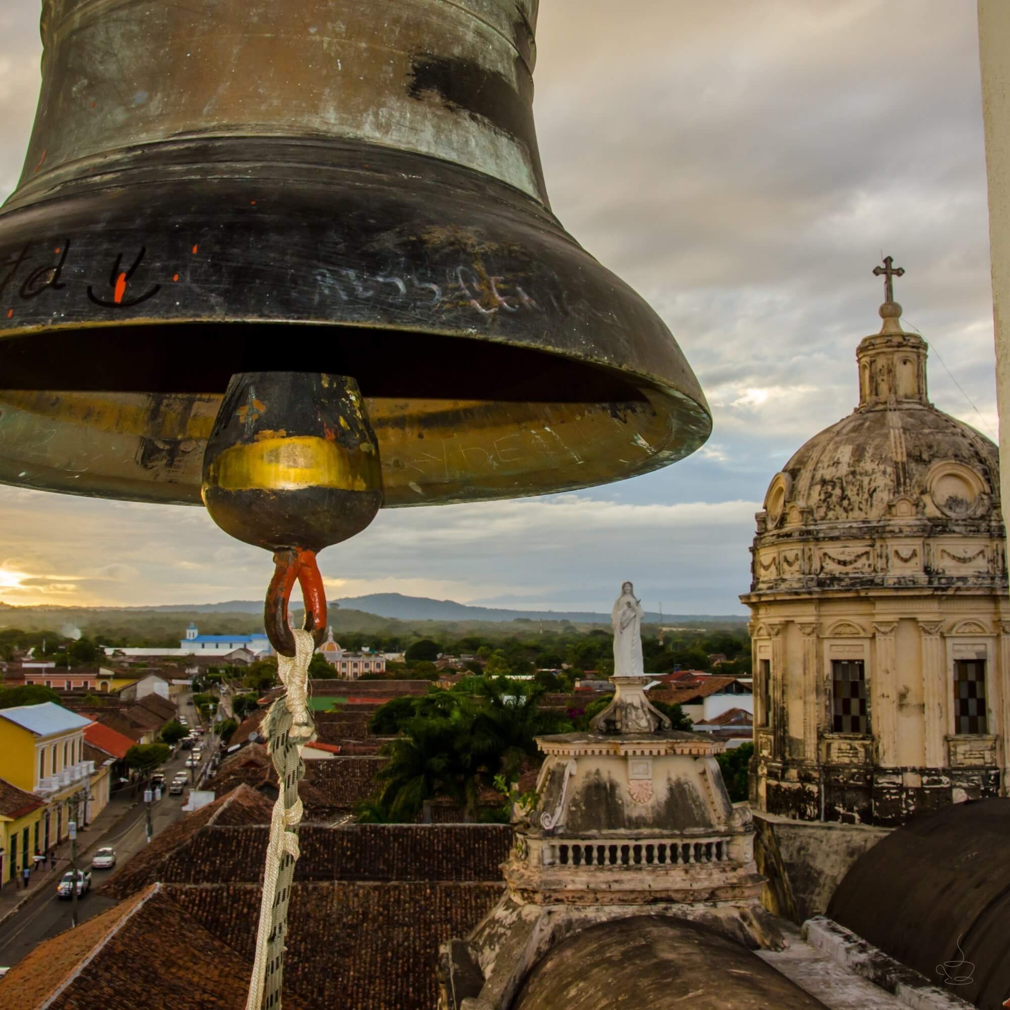 Rows of coffee trees along Nicaraguan hillside
