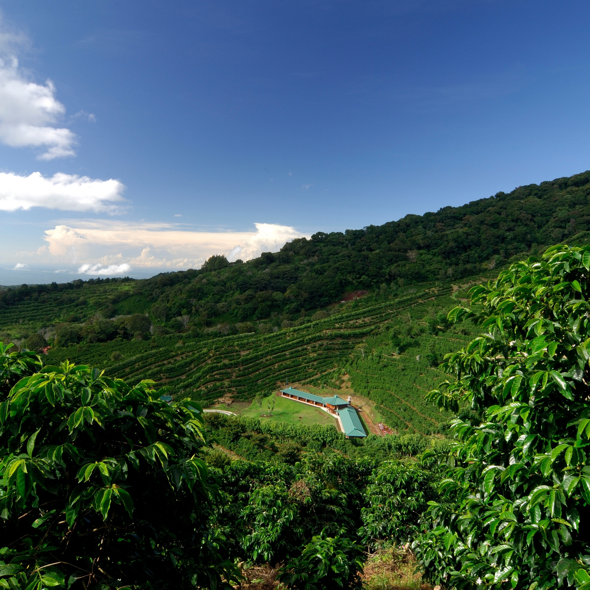 Volcán Barú rising above Panama highlands