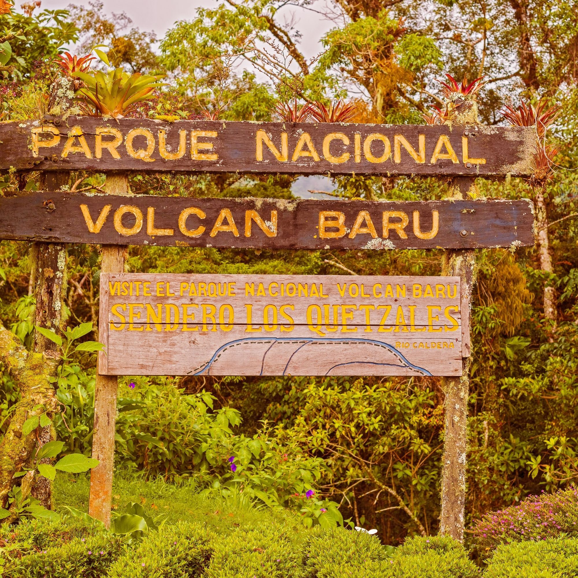 Volcanic slopes and coffee in Panama Volcán region