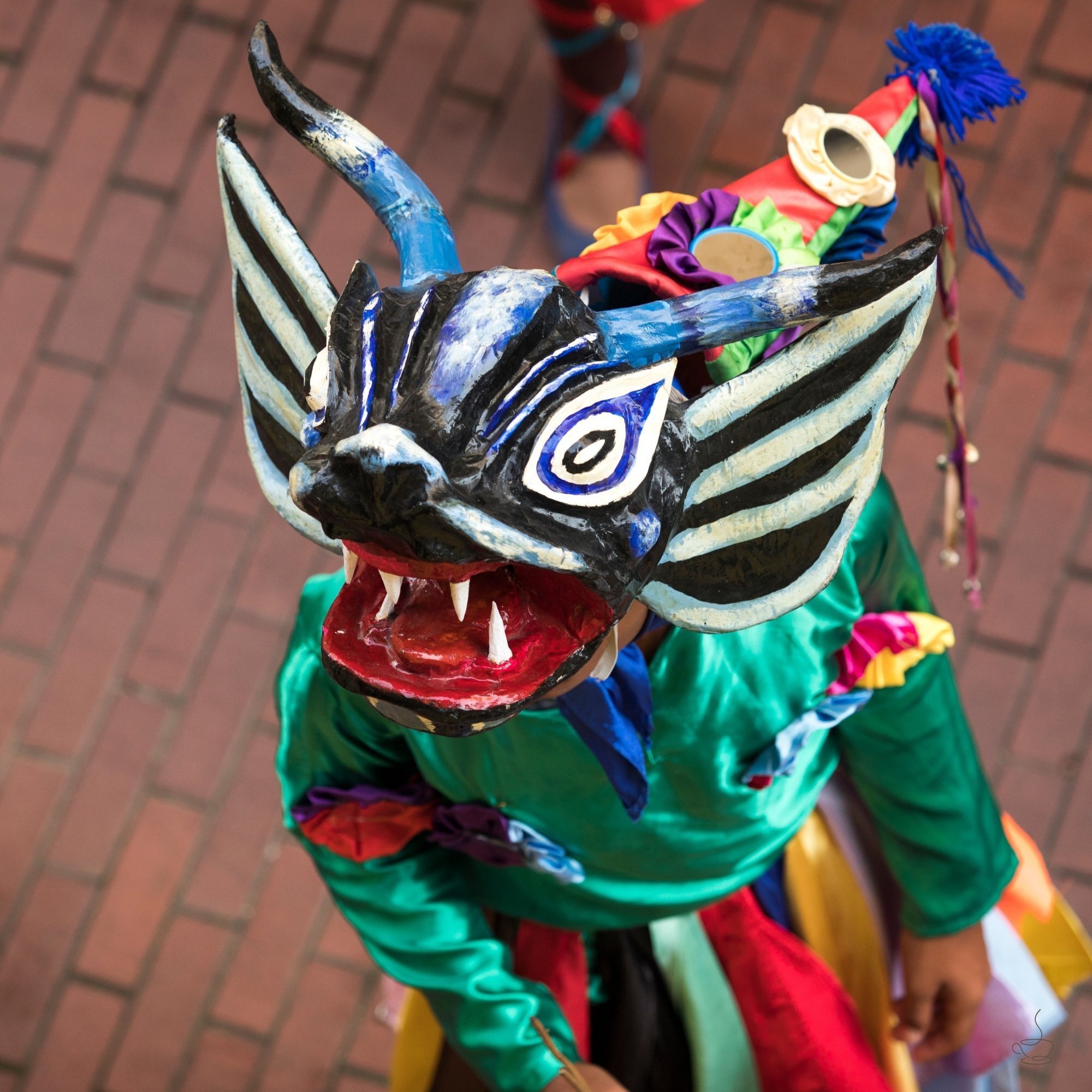 Geisha coffee cherries and branches