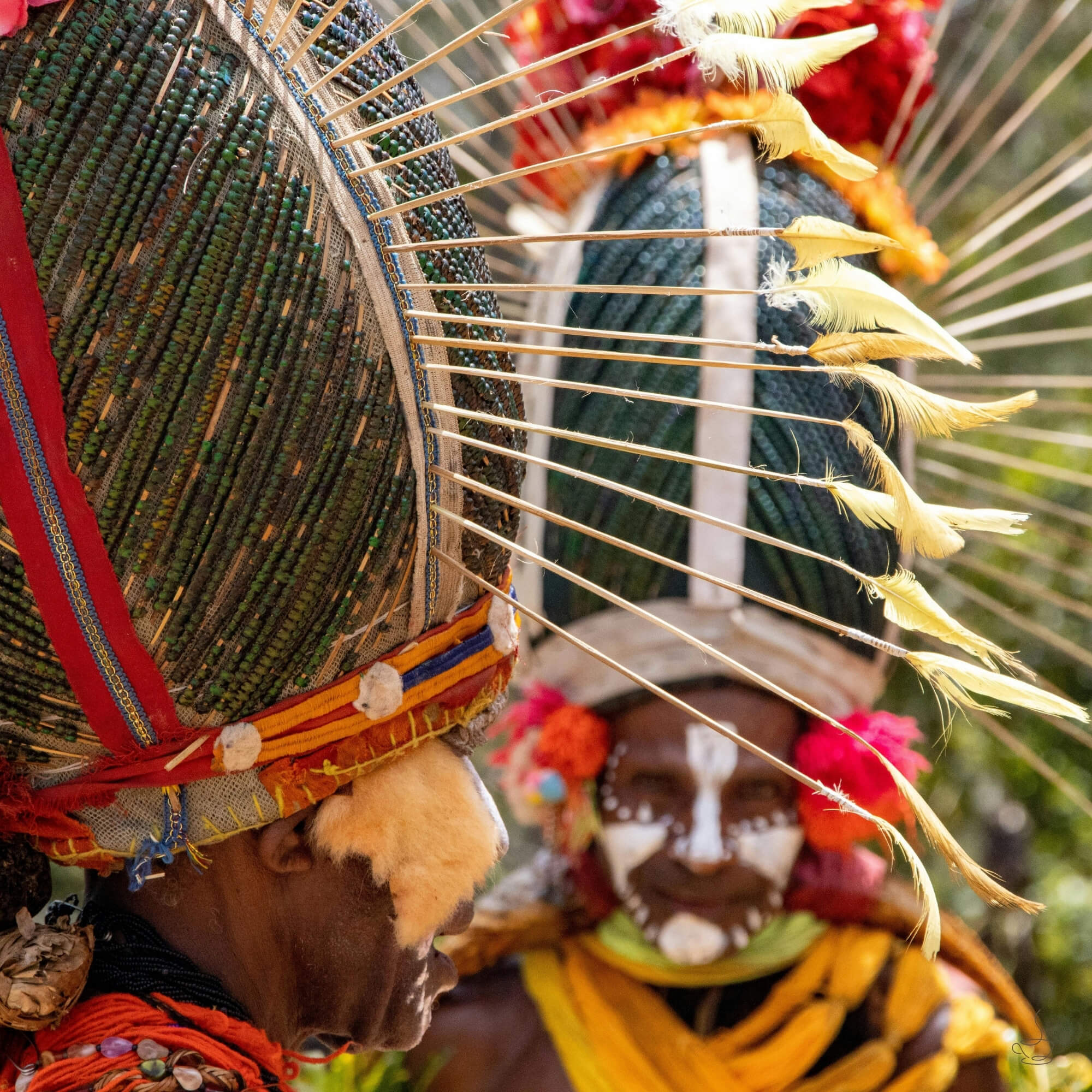 Coffee parchment drying on raised beds in PNG