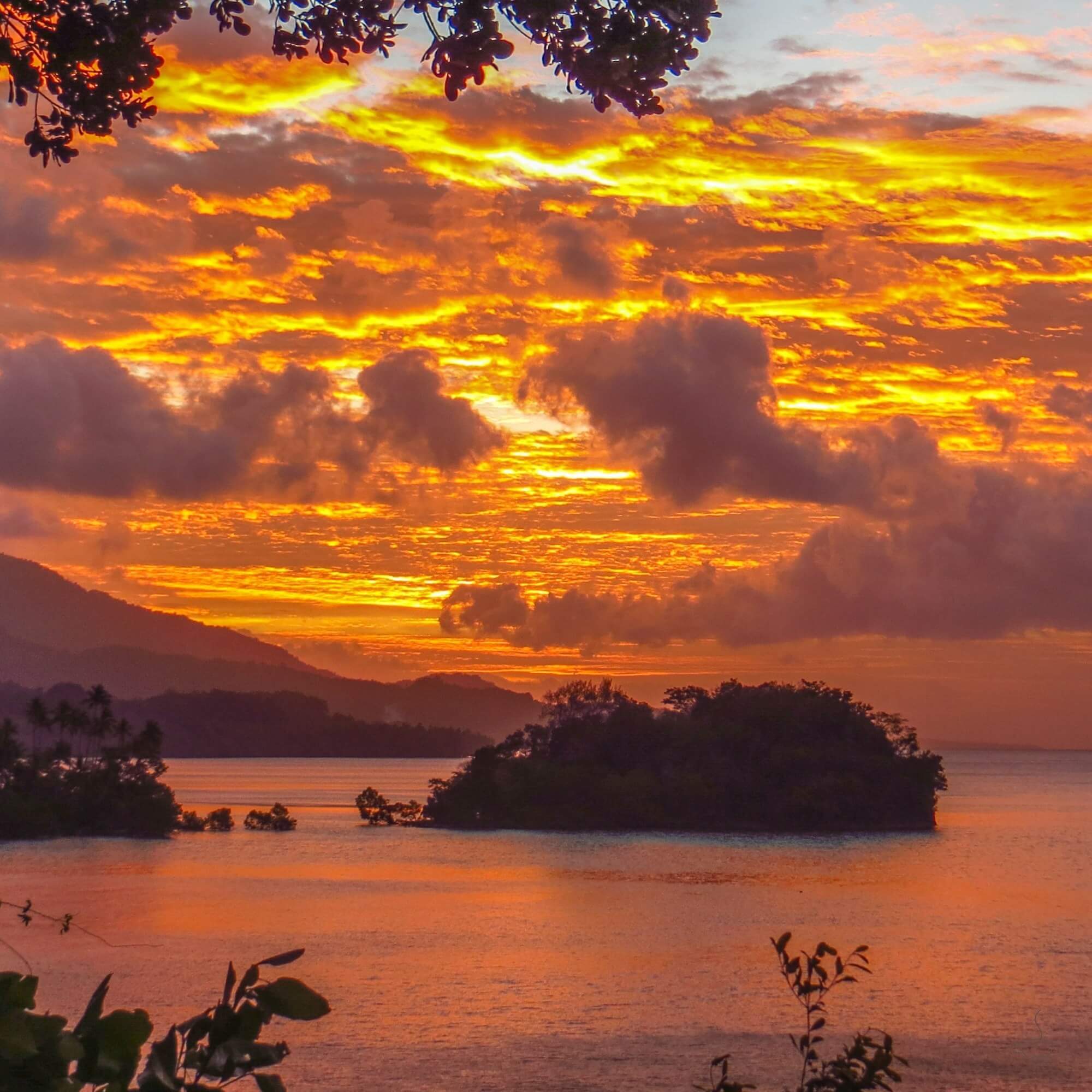Brewed cup of Papua New Guinea coffee
