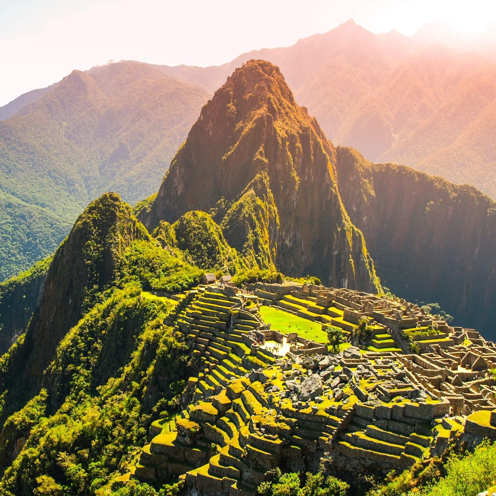 Peruvian coffee farm terraces in the Andes with morning light