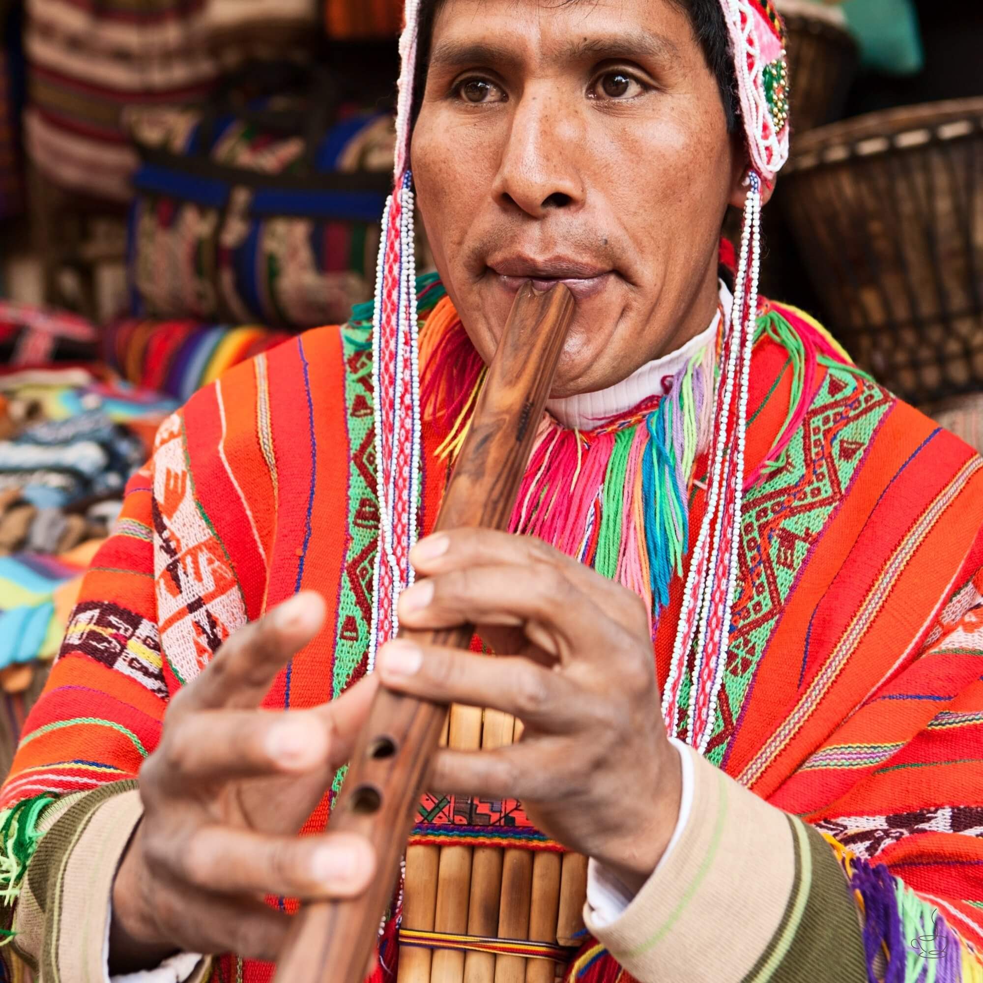 Rows of coffee trees on Peruvian hillside