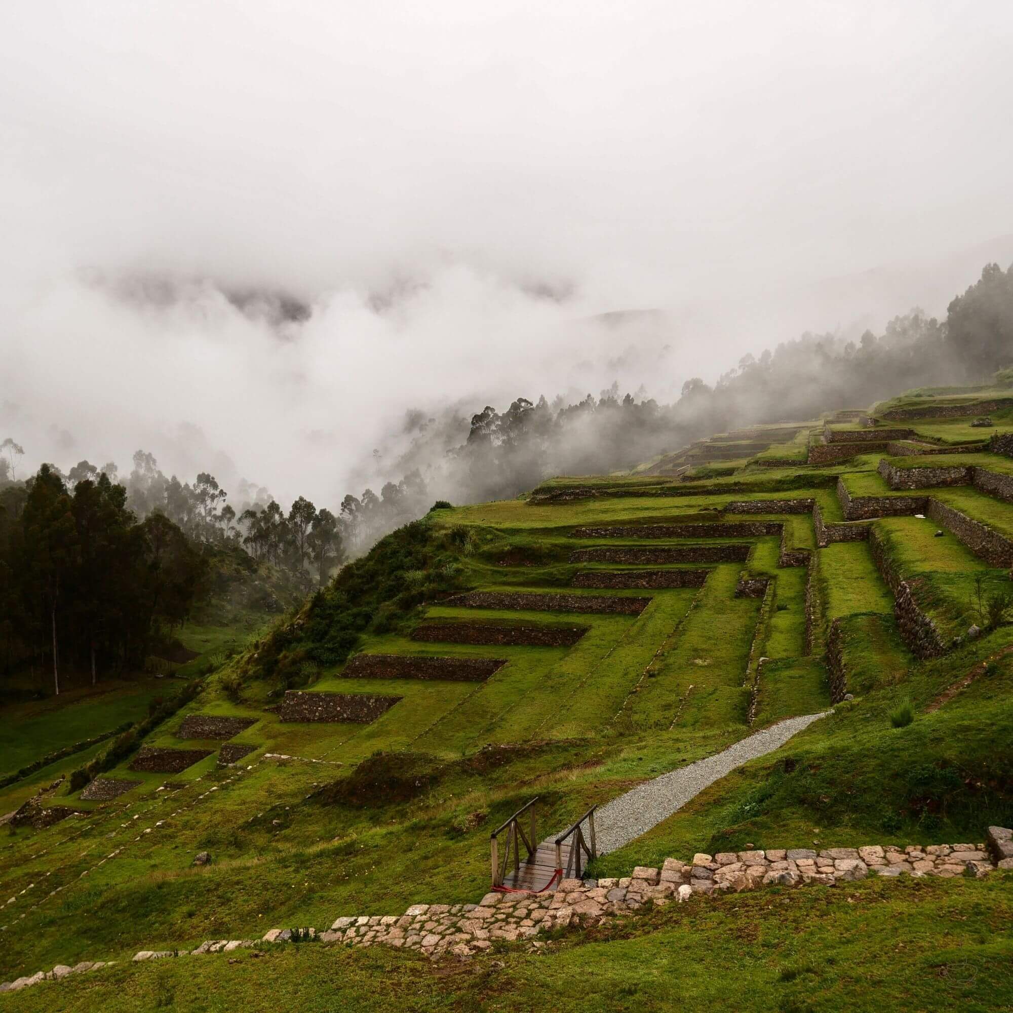 Peruvian traditional farming.
