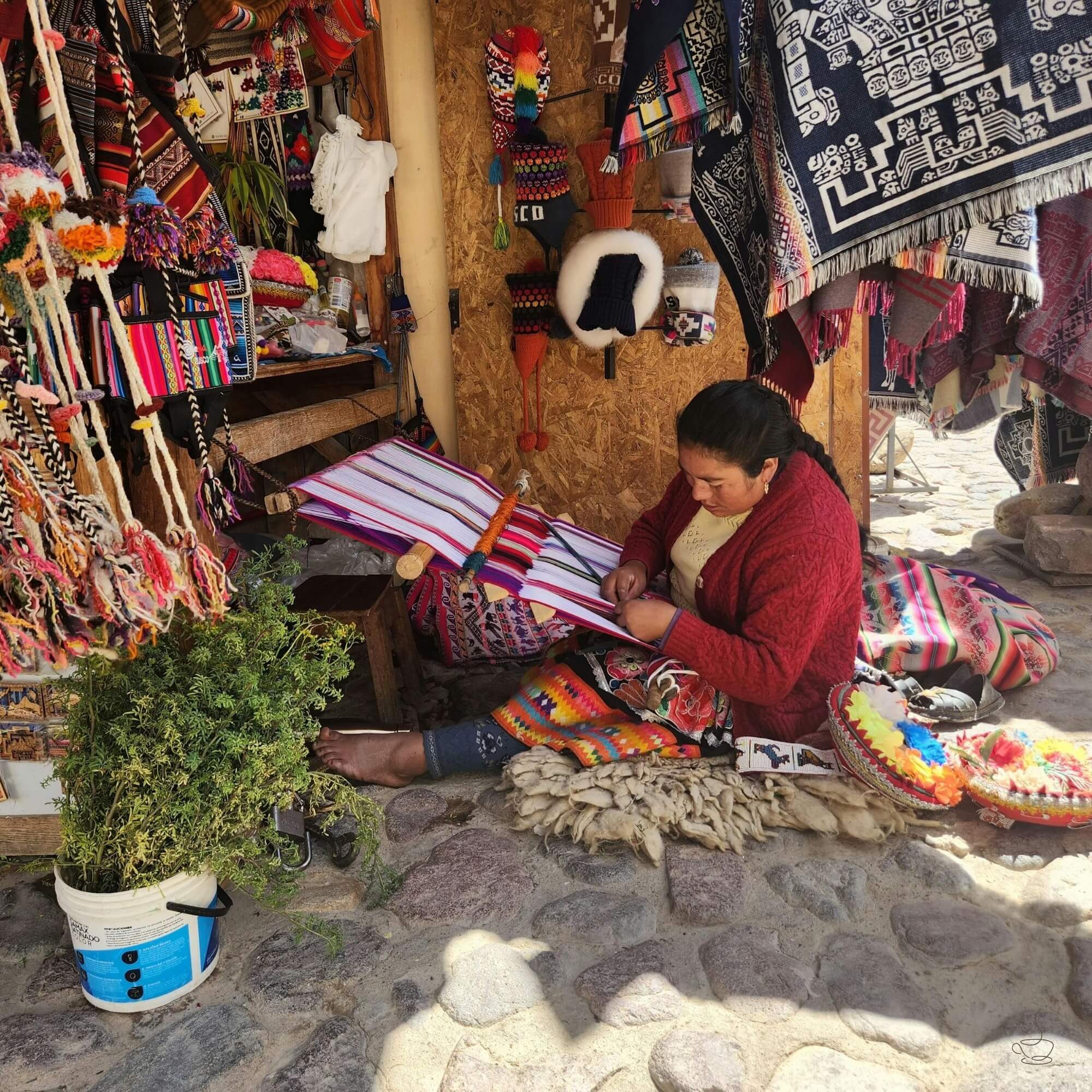 Peruvian coffee producer holding ripe cherries