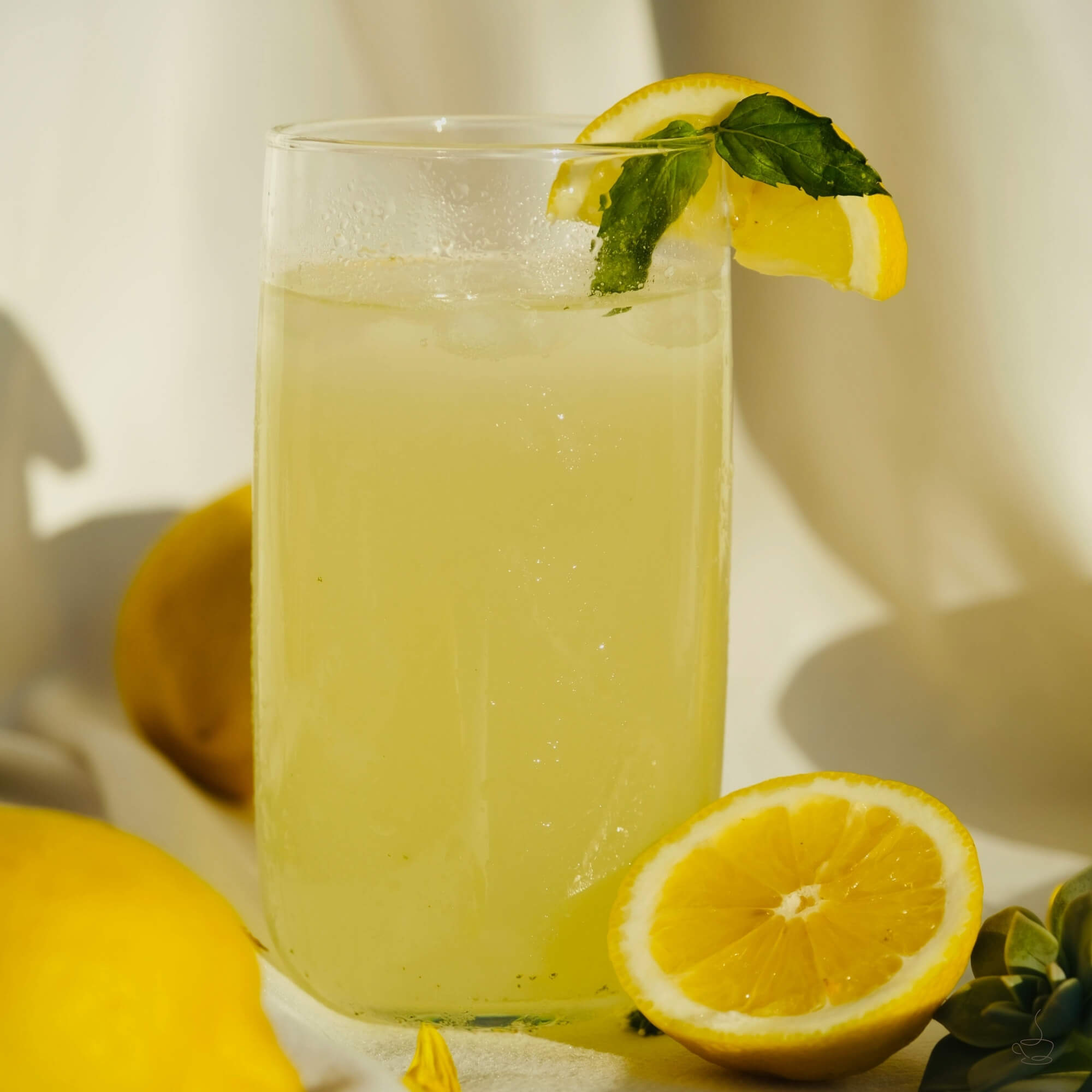 Pitcher and glasses of lemonade with citrus slices and ice