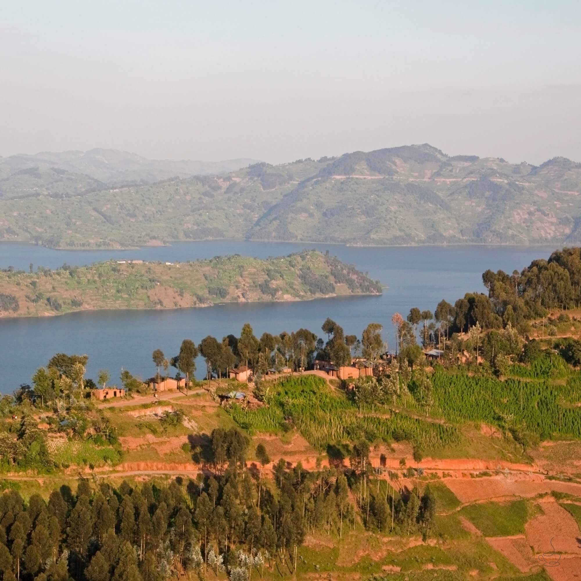 Rwandan coffee landscape in eastern highlands