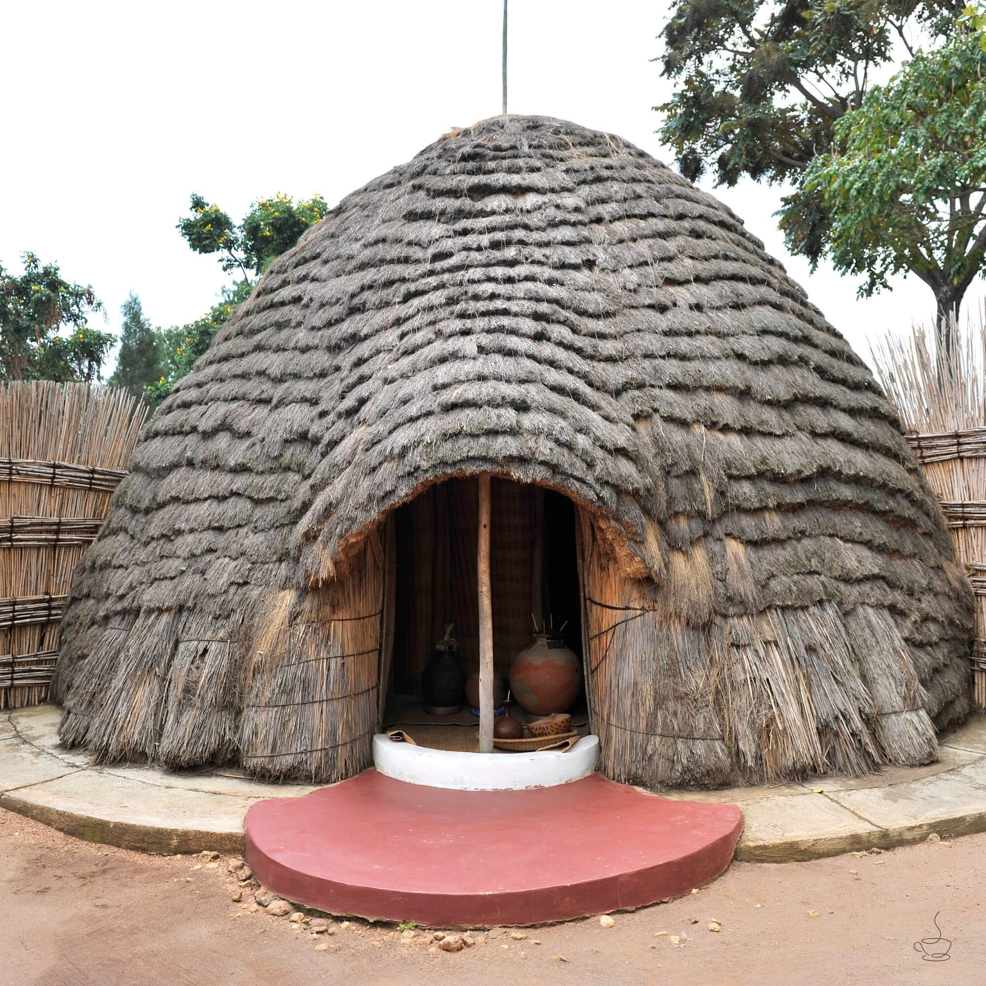 Cupping table with Rwandan coffee samples