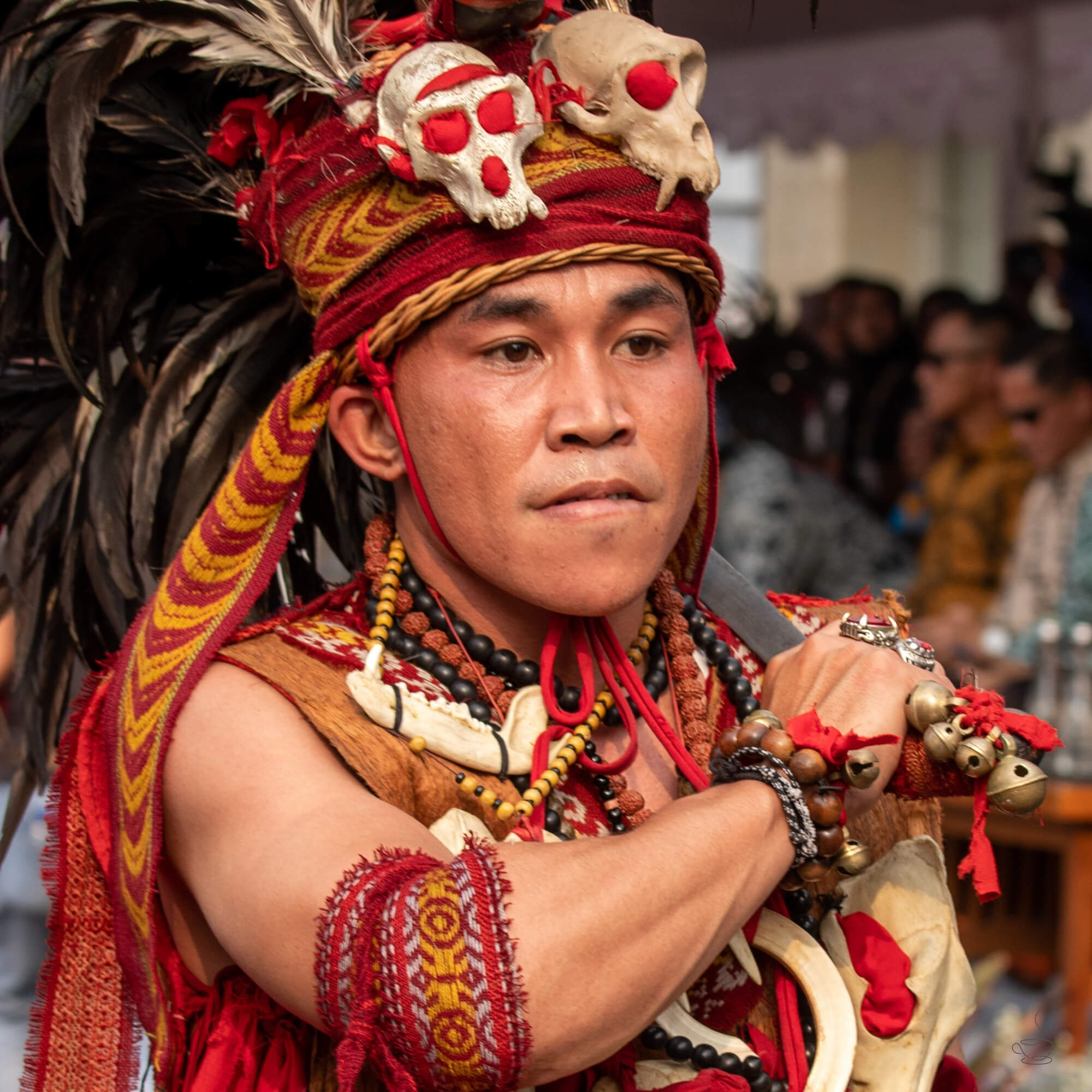Hand sorting ripe coffee cherries in Sulawesi