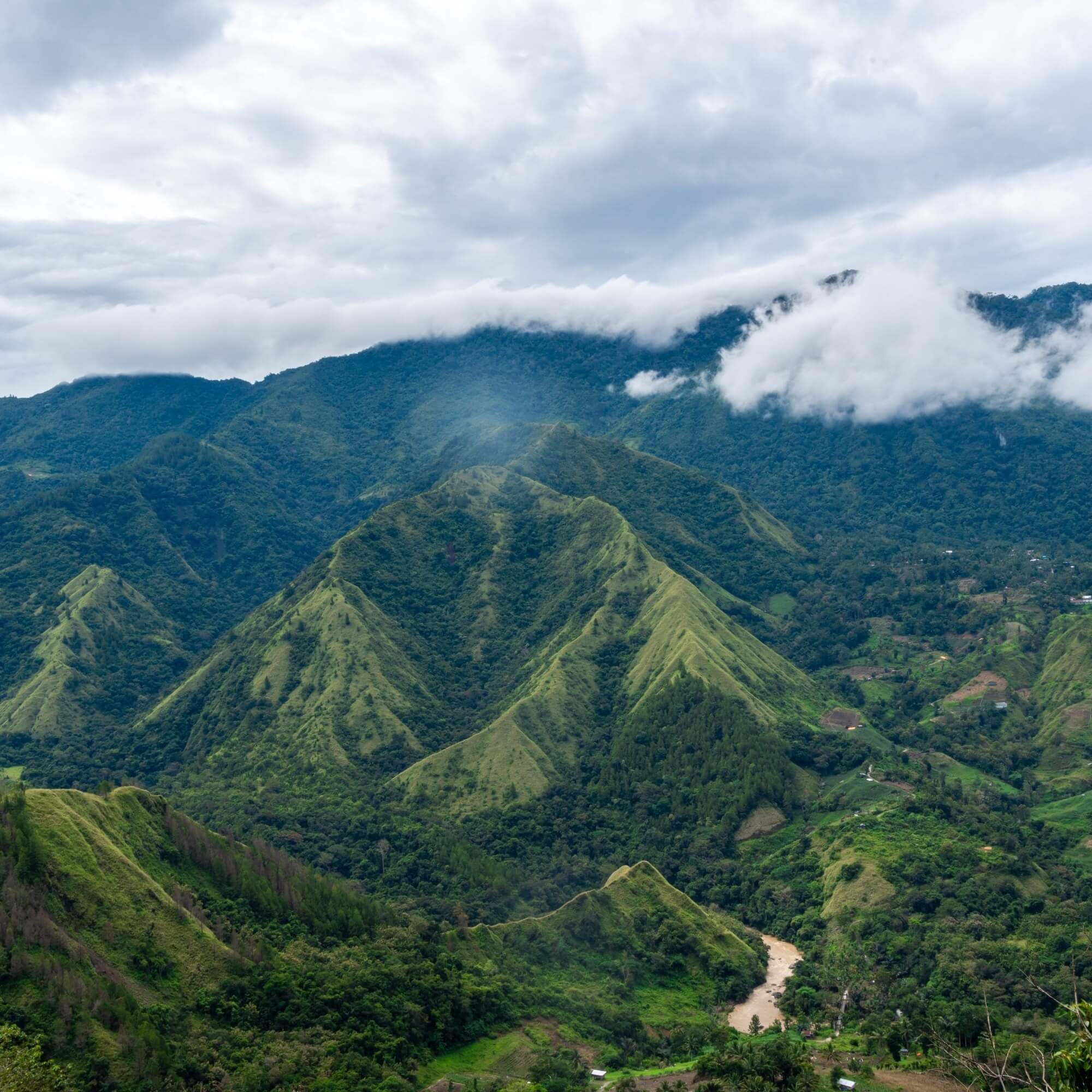 Terraced highlands and coffee farms in Sulawesi