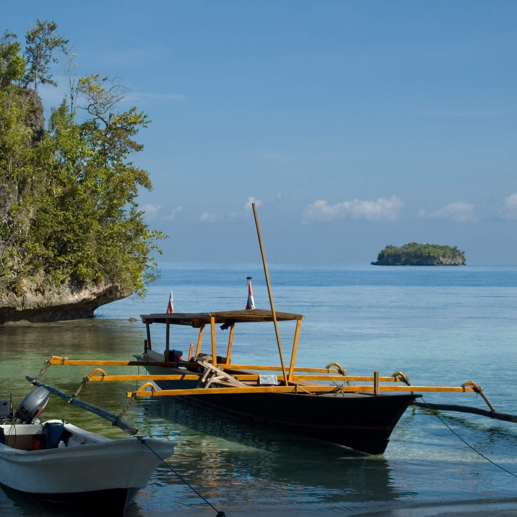 Misty forested hills in Sulawesi