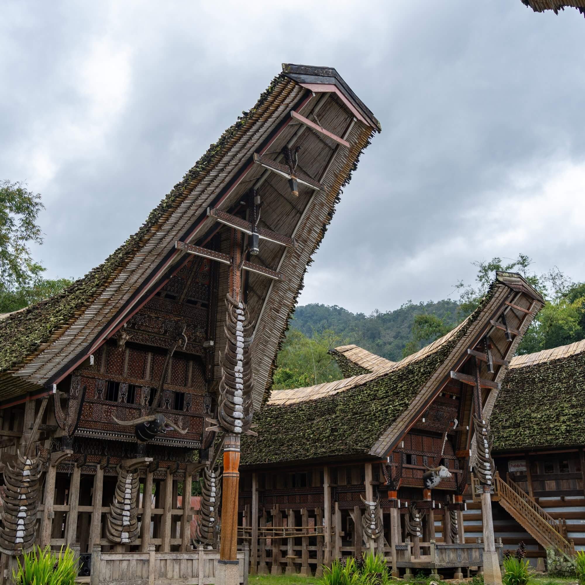 Traditional Tongkonan houses in Tana Toraja highlands