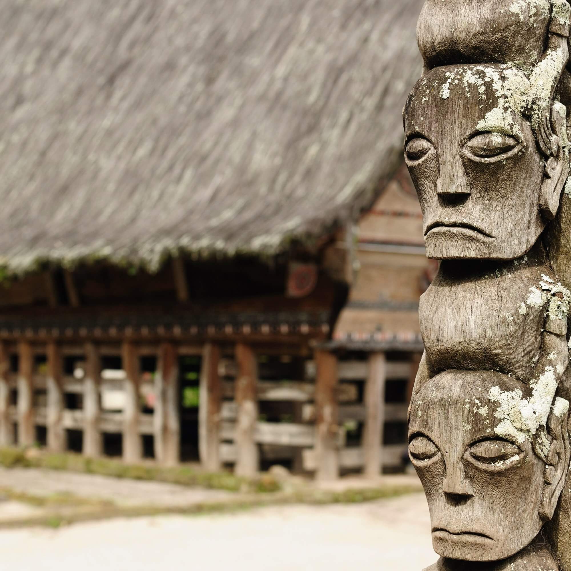 Wet-hulled coffee being processed
