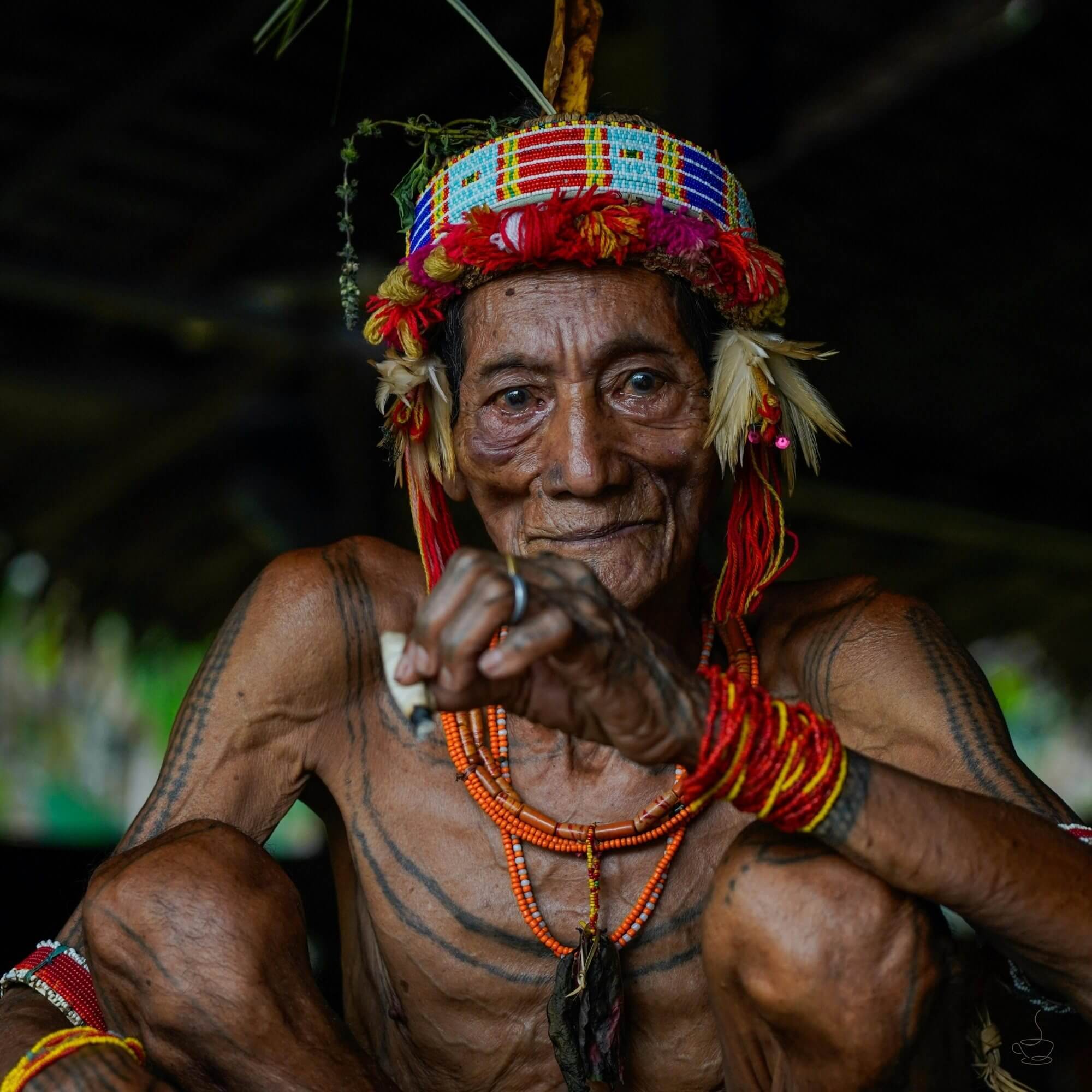 Cupping table with Sumatra coffees