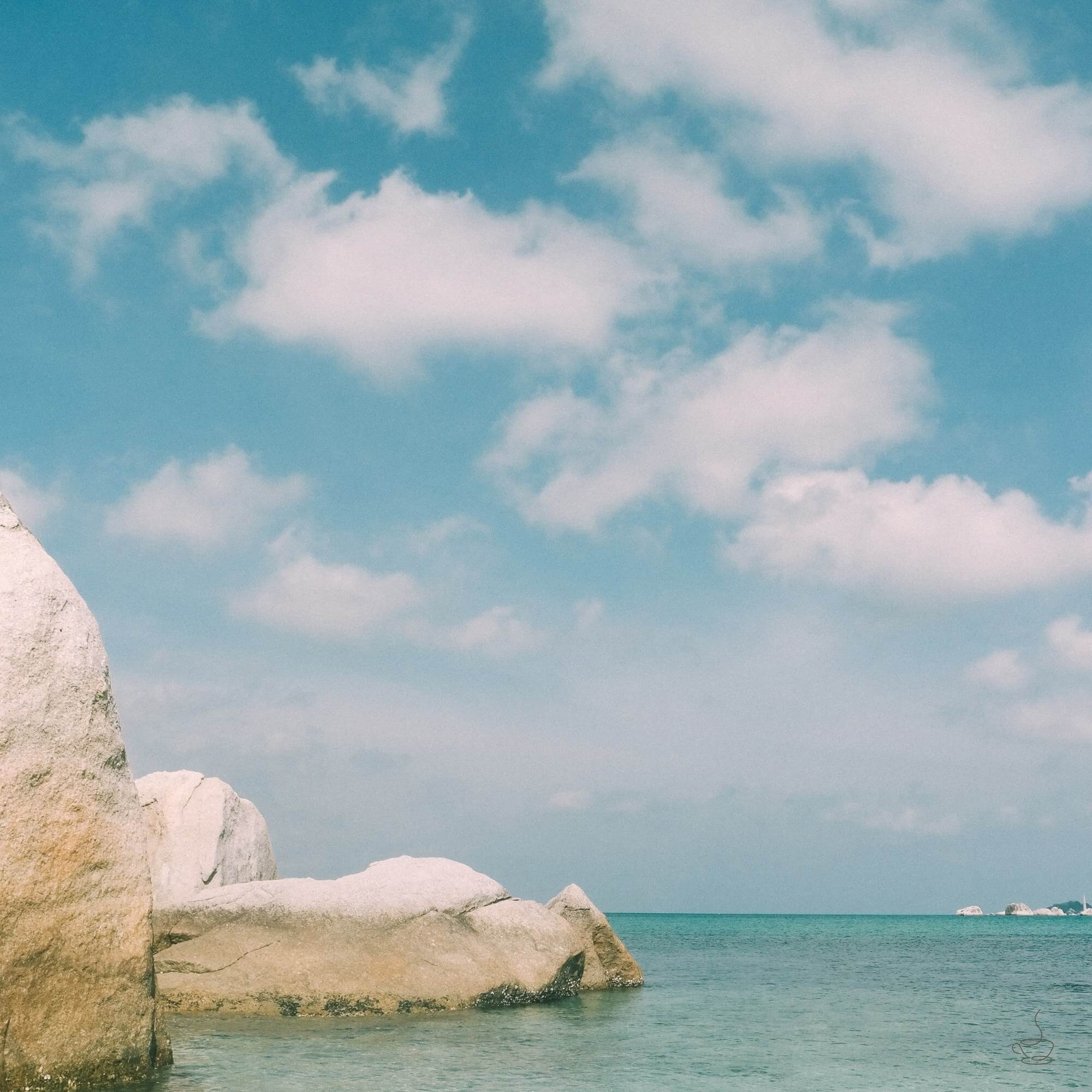 Lush Sumatran forest near coffee farms