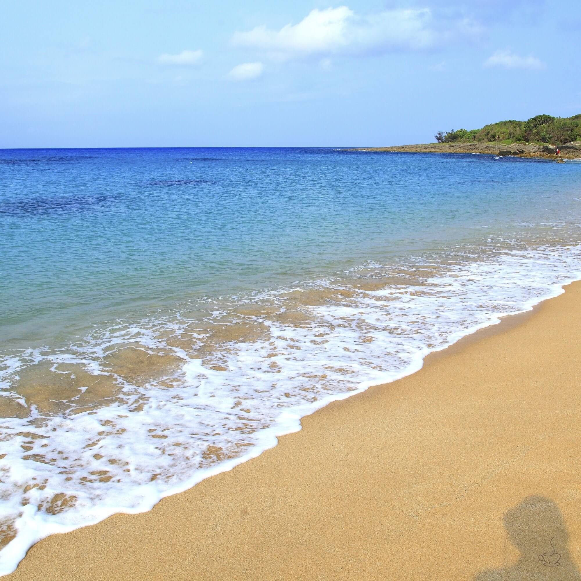 Coffee drying on raised beds in Taiwan