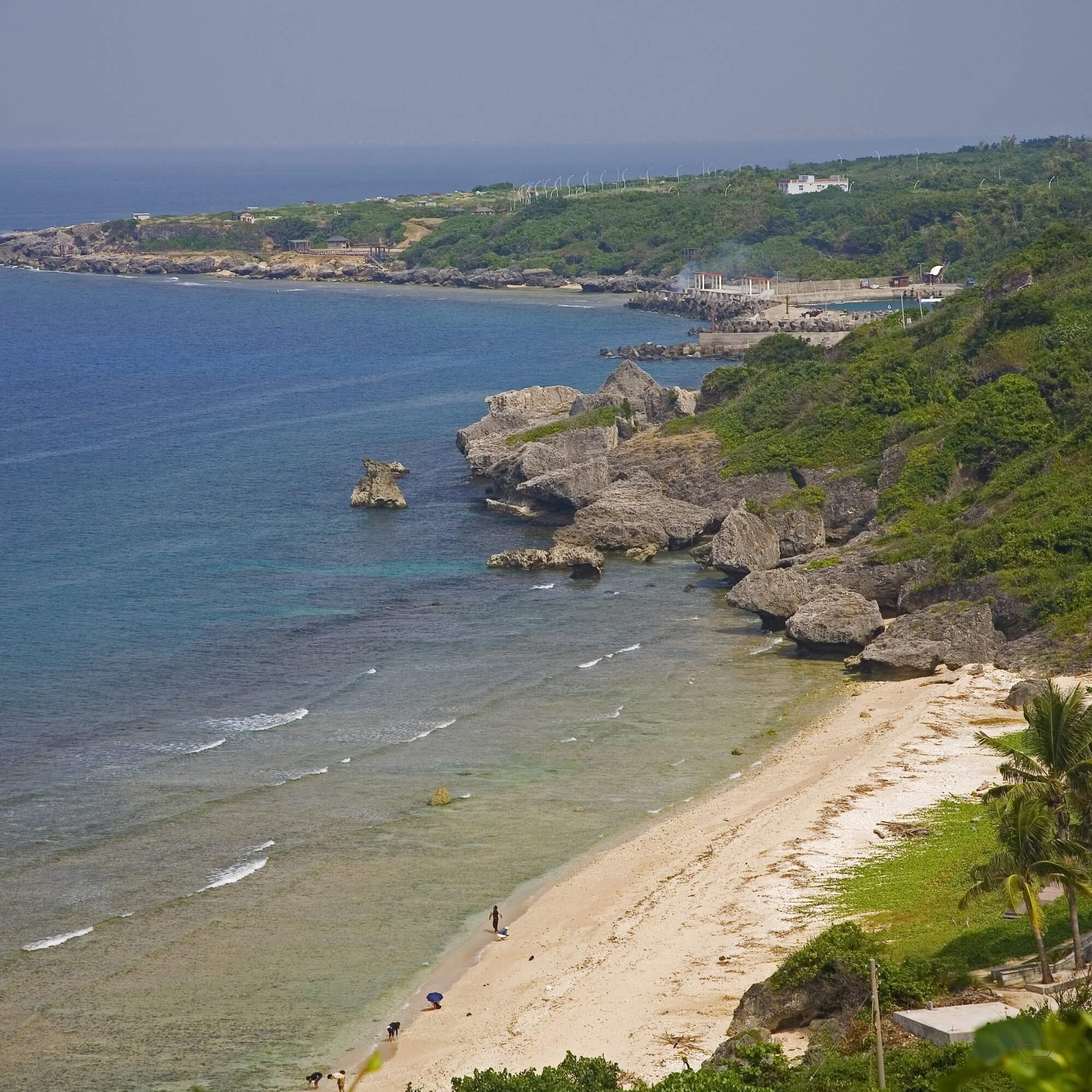 Coffee farmer tending trees on a hillside in Taiwan