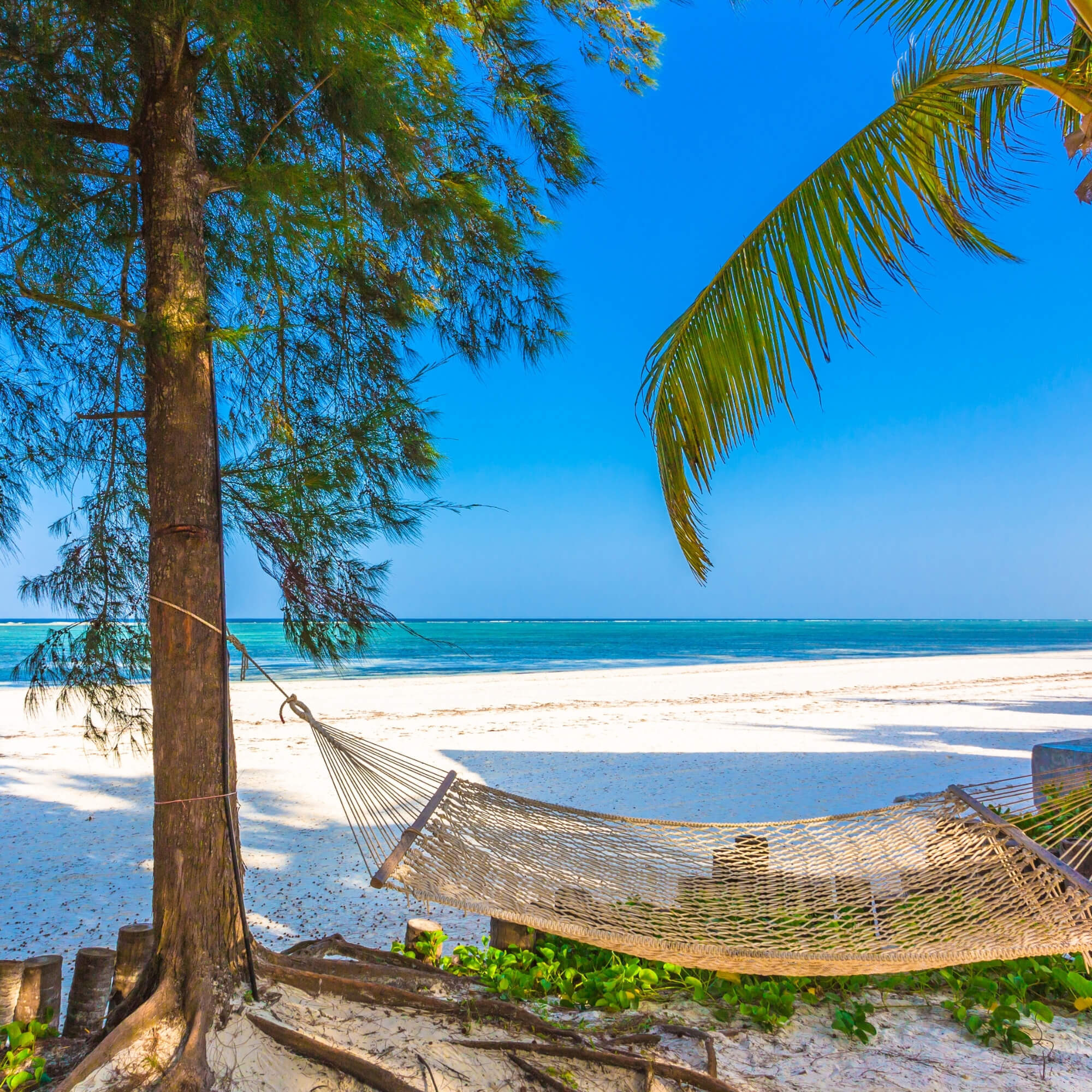 Dar es Salaam or Arusha street or cafe scene