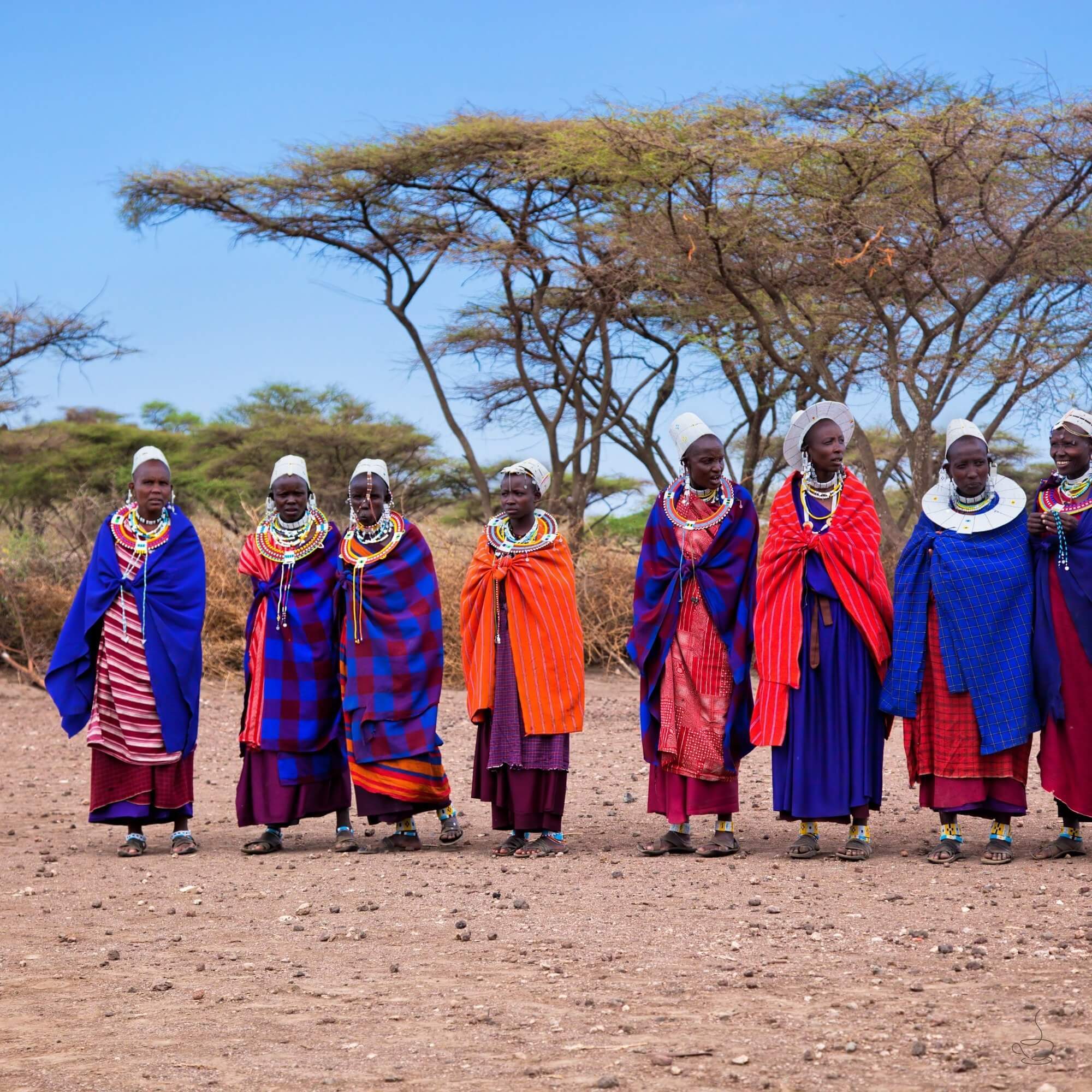 Tanzanian coffee producer standing among coffee trees