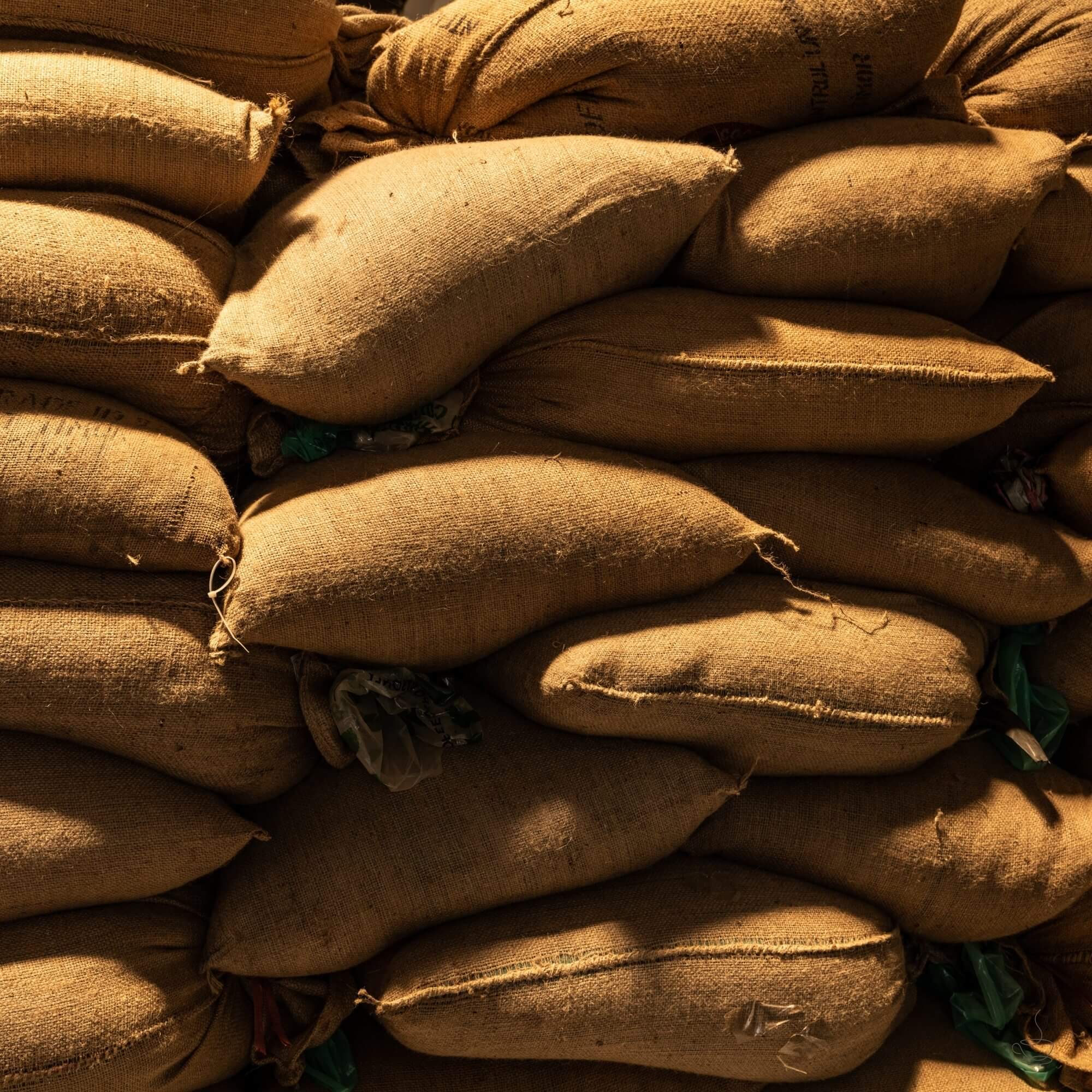 Ermera highland coffee farms in Timor-Leste