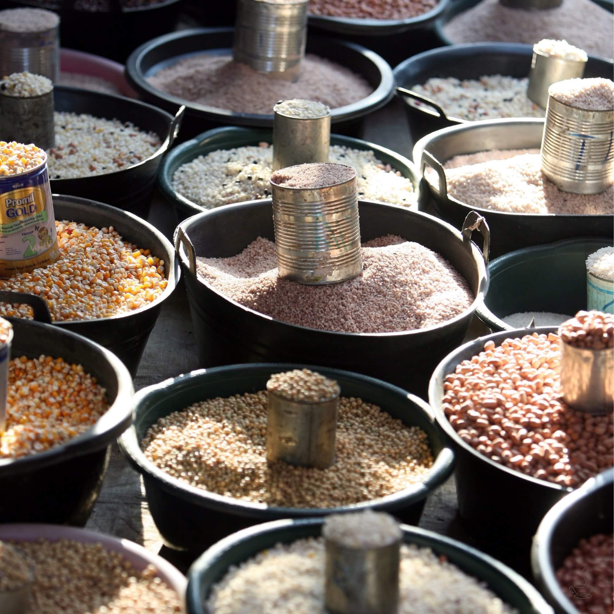 Coffee drying beds in Timor-Leste