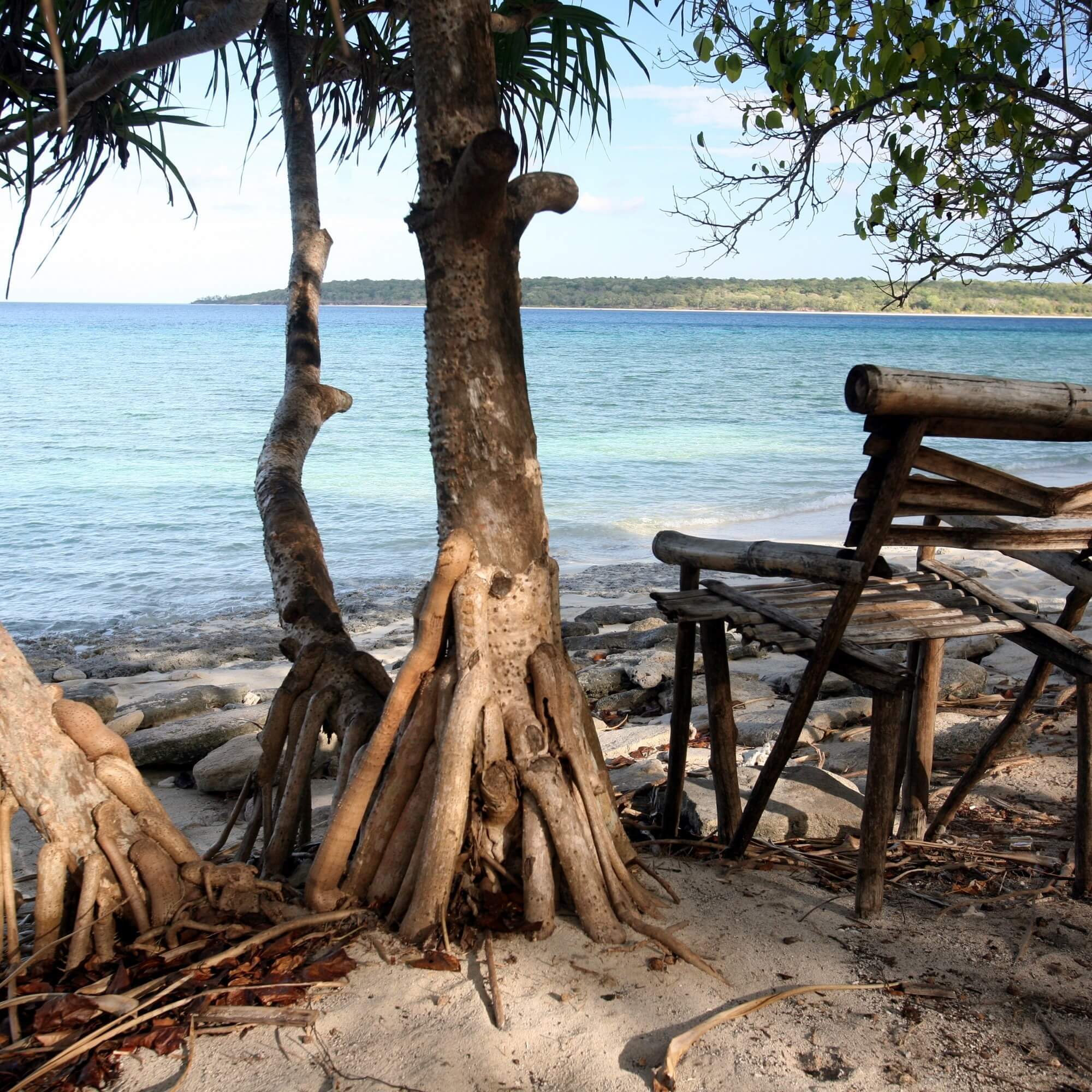 Cupping table with Timor-Leste coffees