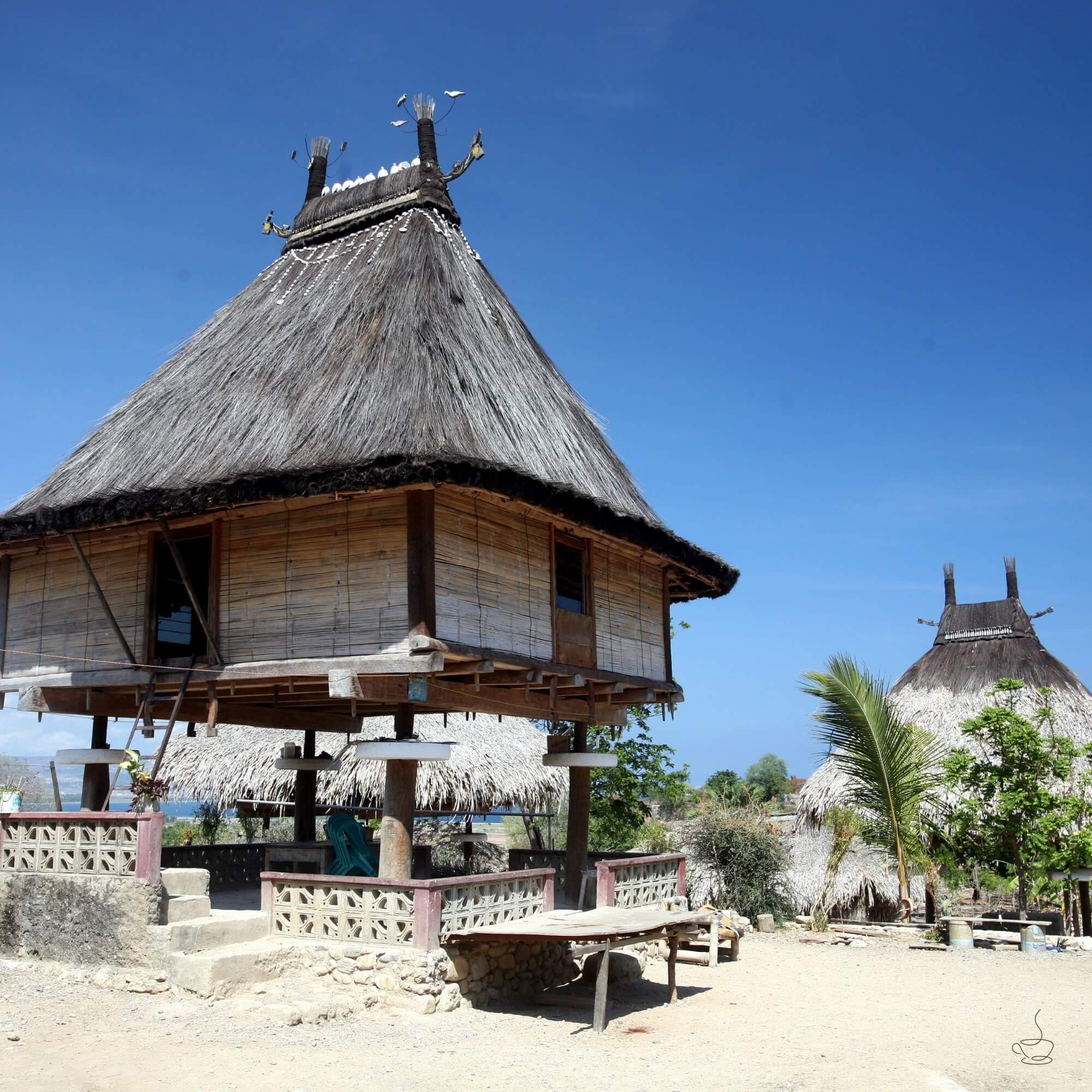 Village scene in Timor-Leste coffee region