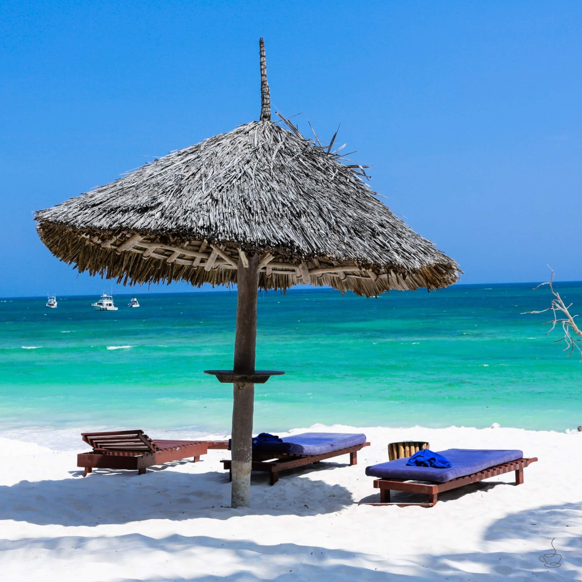 Cupping table with Kenyan coffees labeled and evaluated