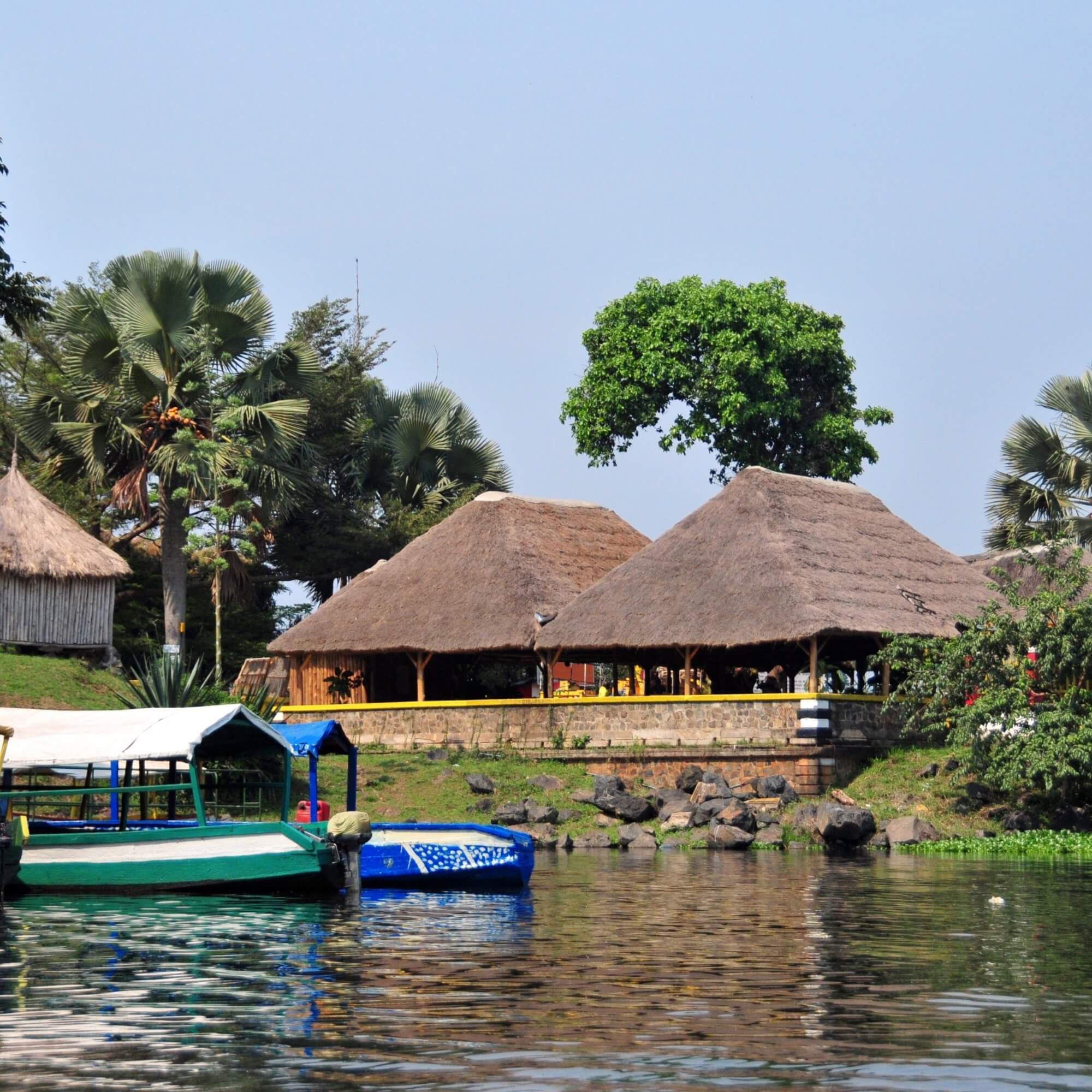 Raised drying beds with Ugandan coffee